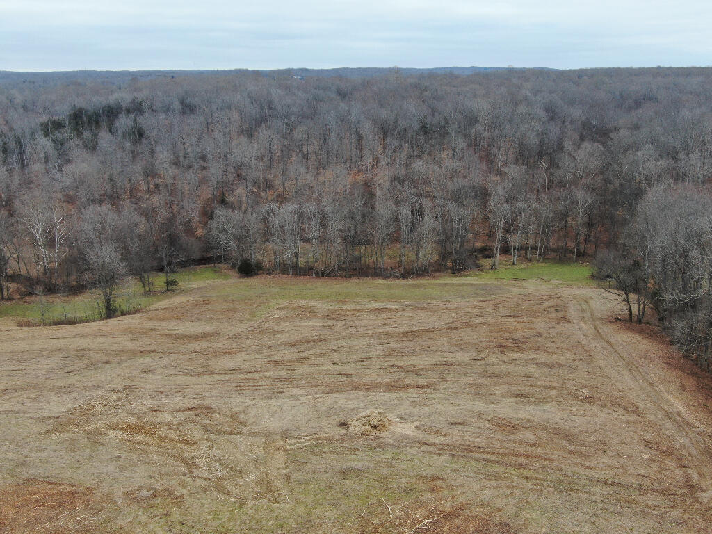 10688 Back Piney Road, Bon Aqua, Tennessee image 17