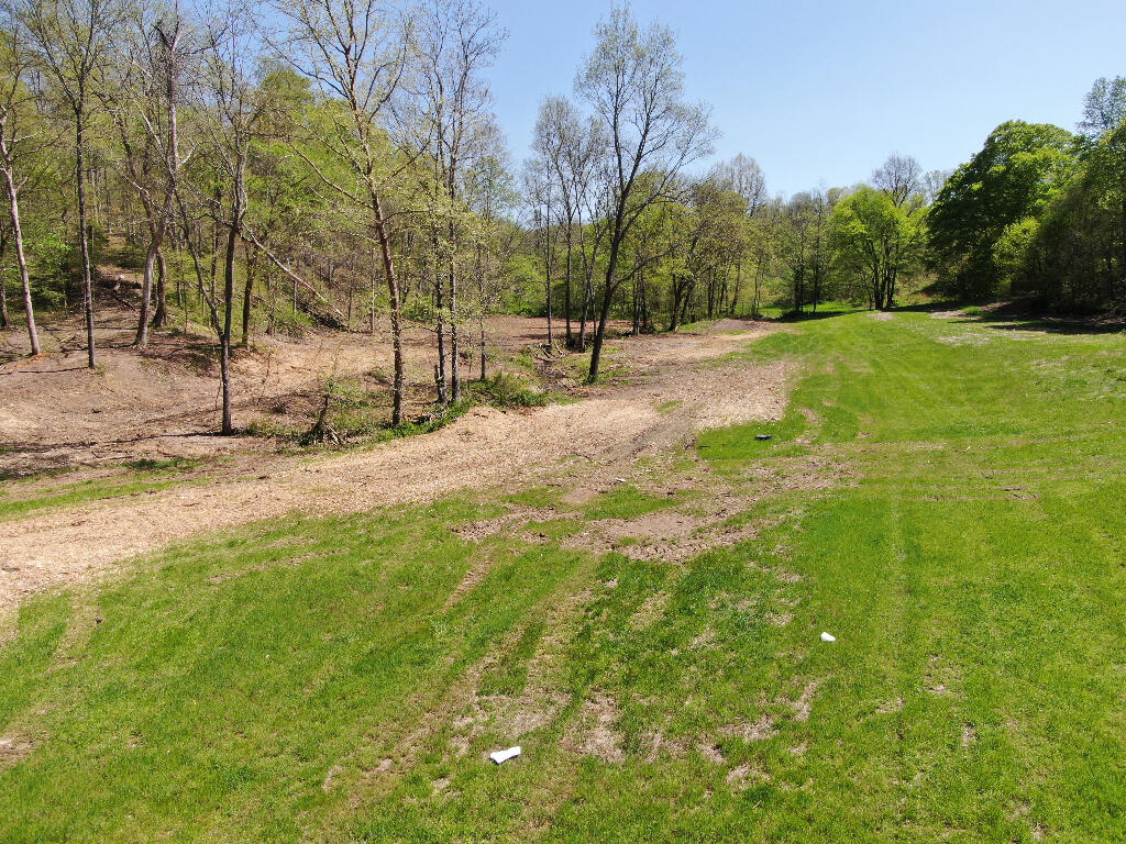10688 Back Piney Road, Bon Aqua, Tennessee image 11