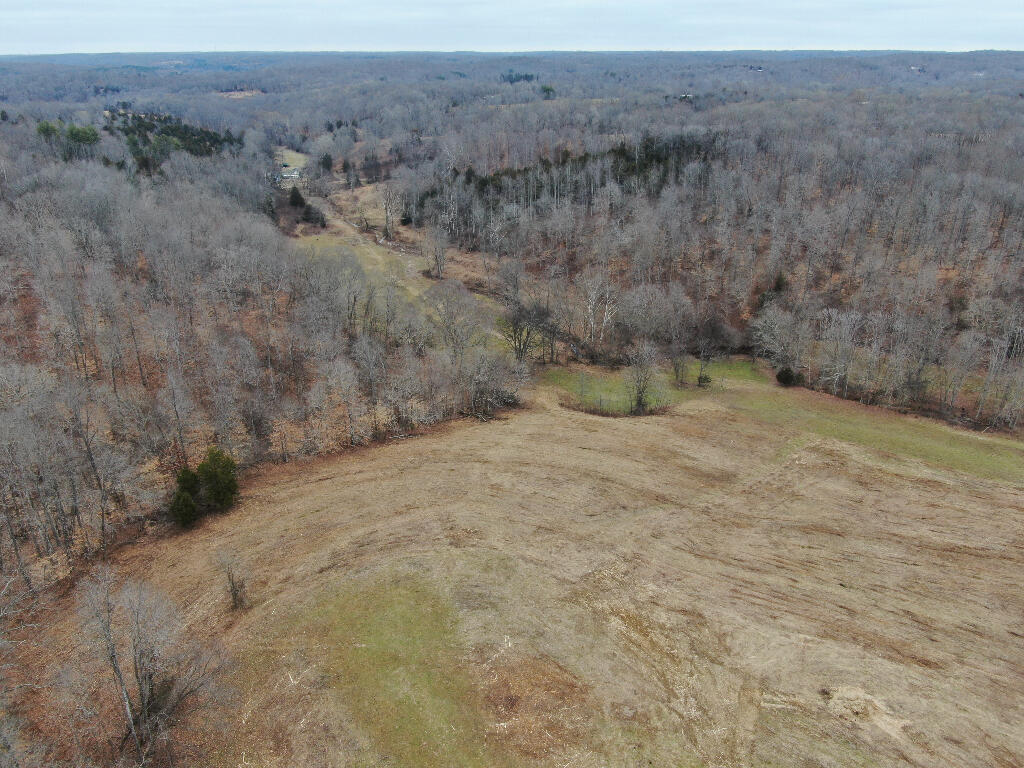 10688 Back Piney Road, Bon Aqua, Tennessee image 13