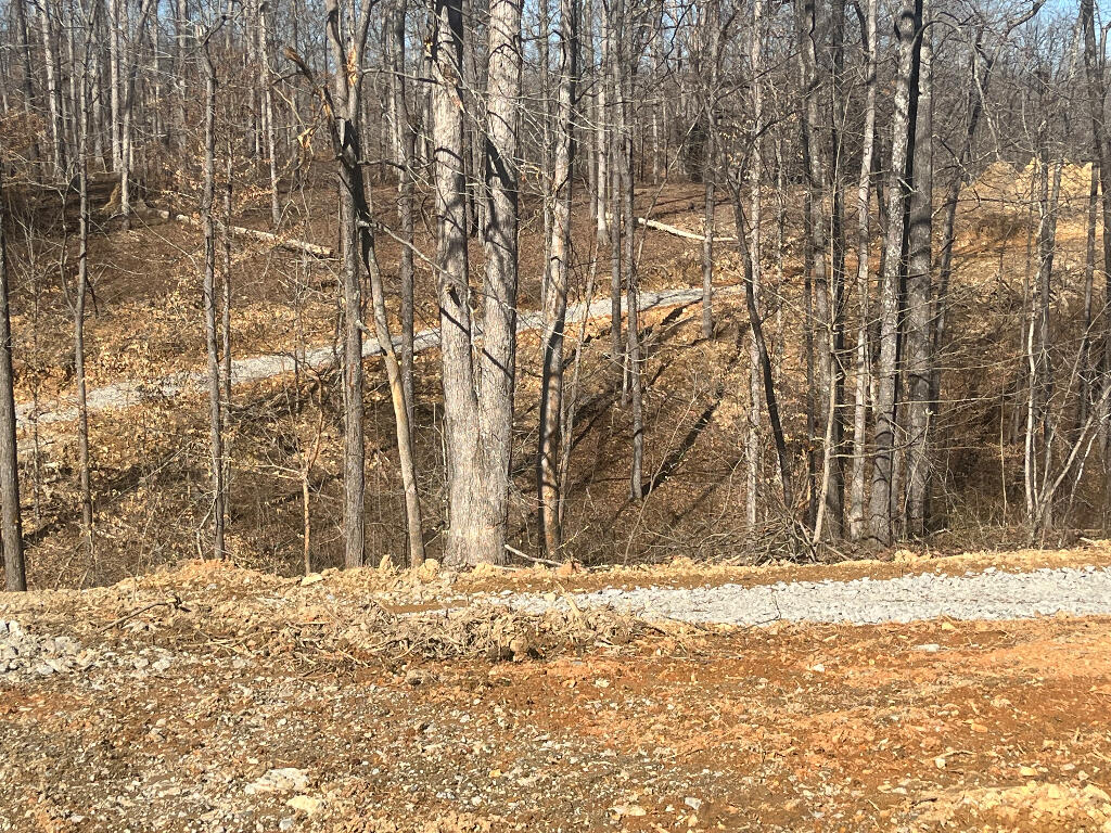 10688 Back Piney Road, Bon Aqua, Tennessee image 4