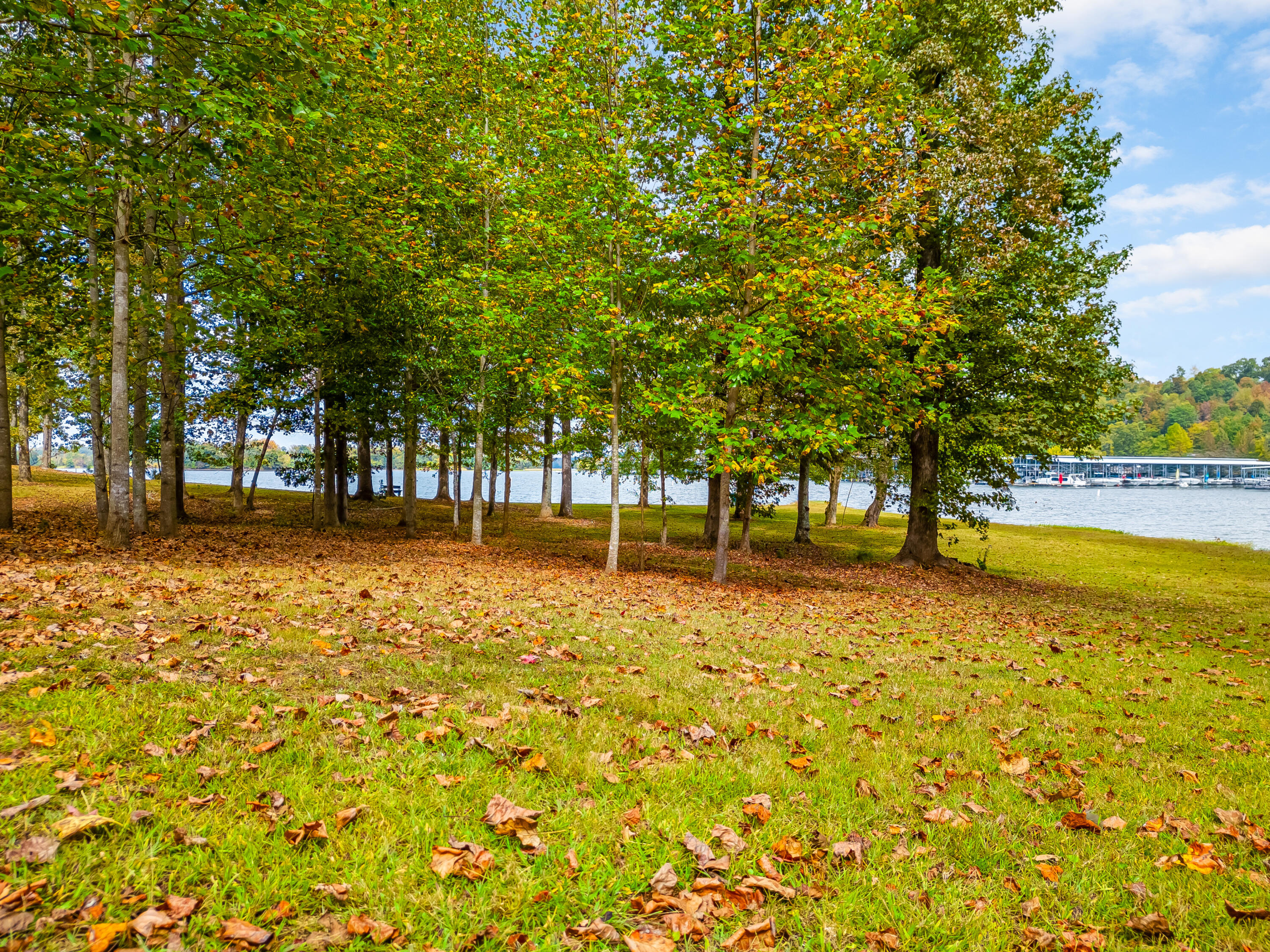 6591 Chipmunk Drive, Harrison, Tennessee image 22
