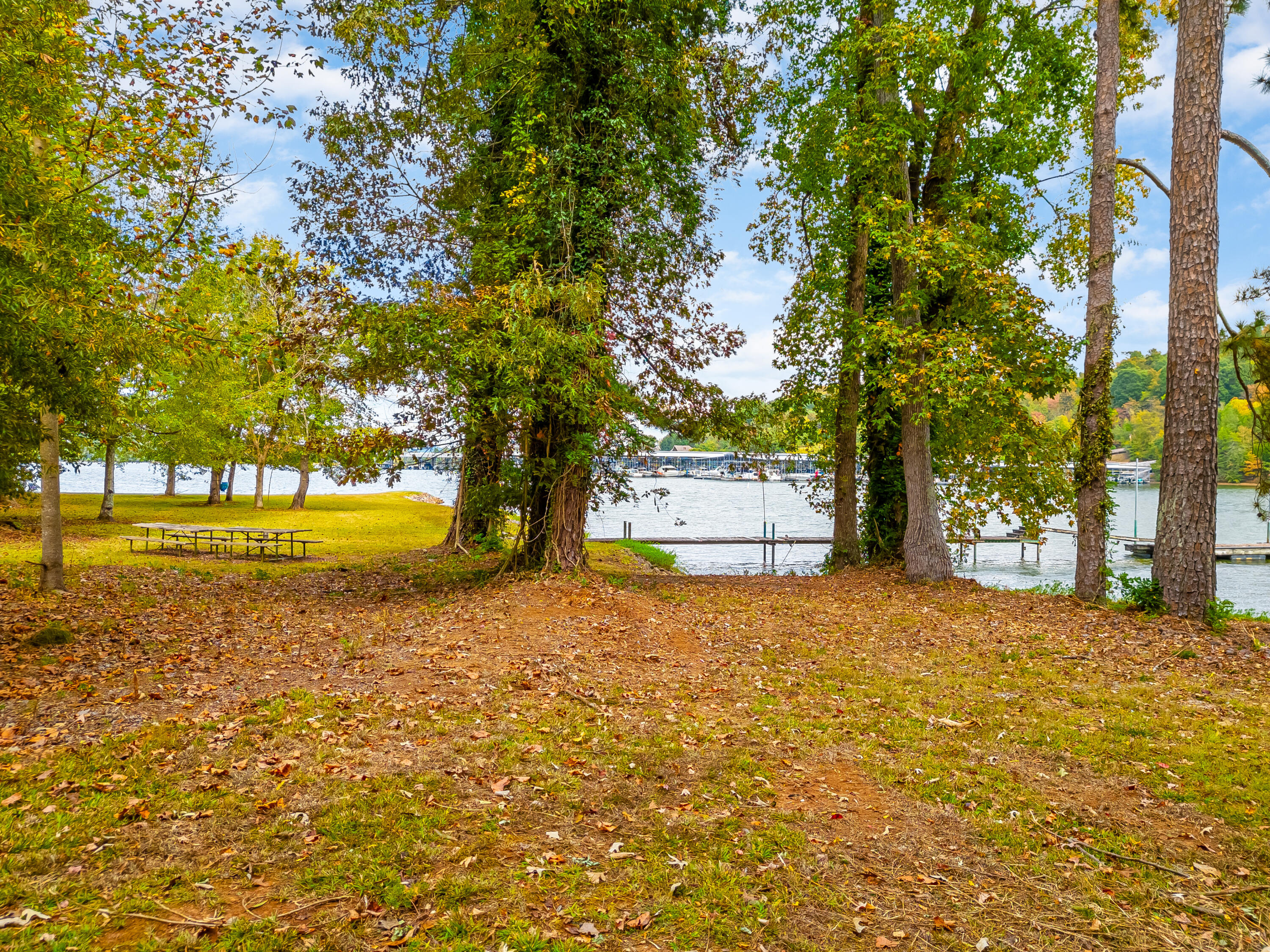 6591 Chipmunk Drive, Harrison, Tennessee image 20