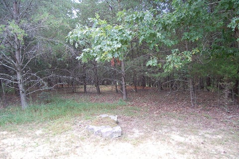 Vacant Land For Sale - 36 Bluff View Drive<br/> Dunlap, TN 37327