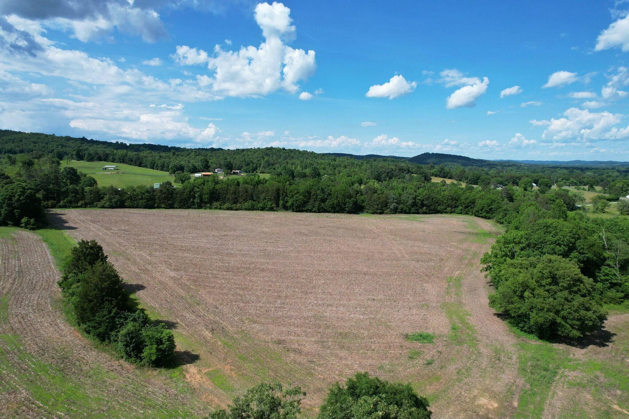 Lankford Ridge 3 Road, Decatur, Tennessee image 1