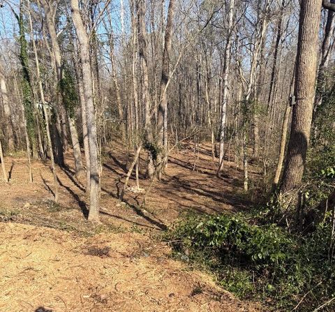 Vacant Land For Sale - 55 Cathy Lane<br/> Hiram, GA 30141