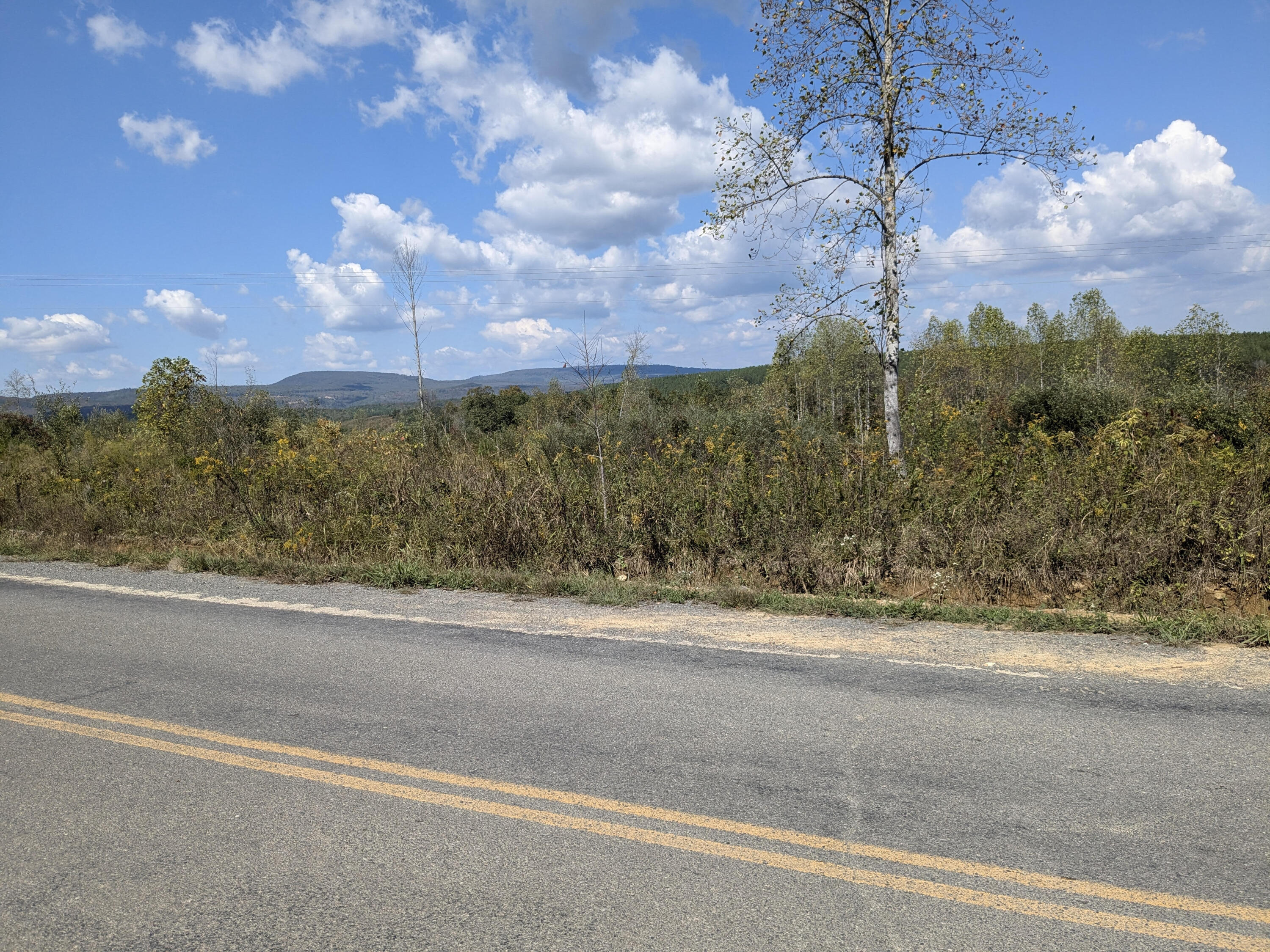Shut In Gap Road #7, Spring City, Tennessee image 1