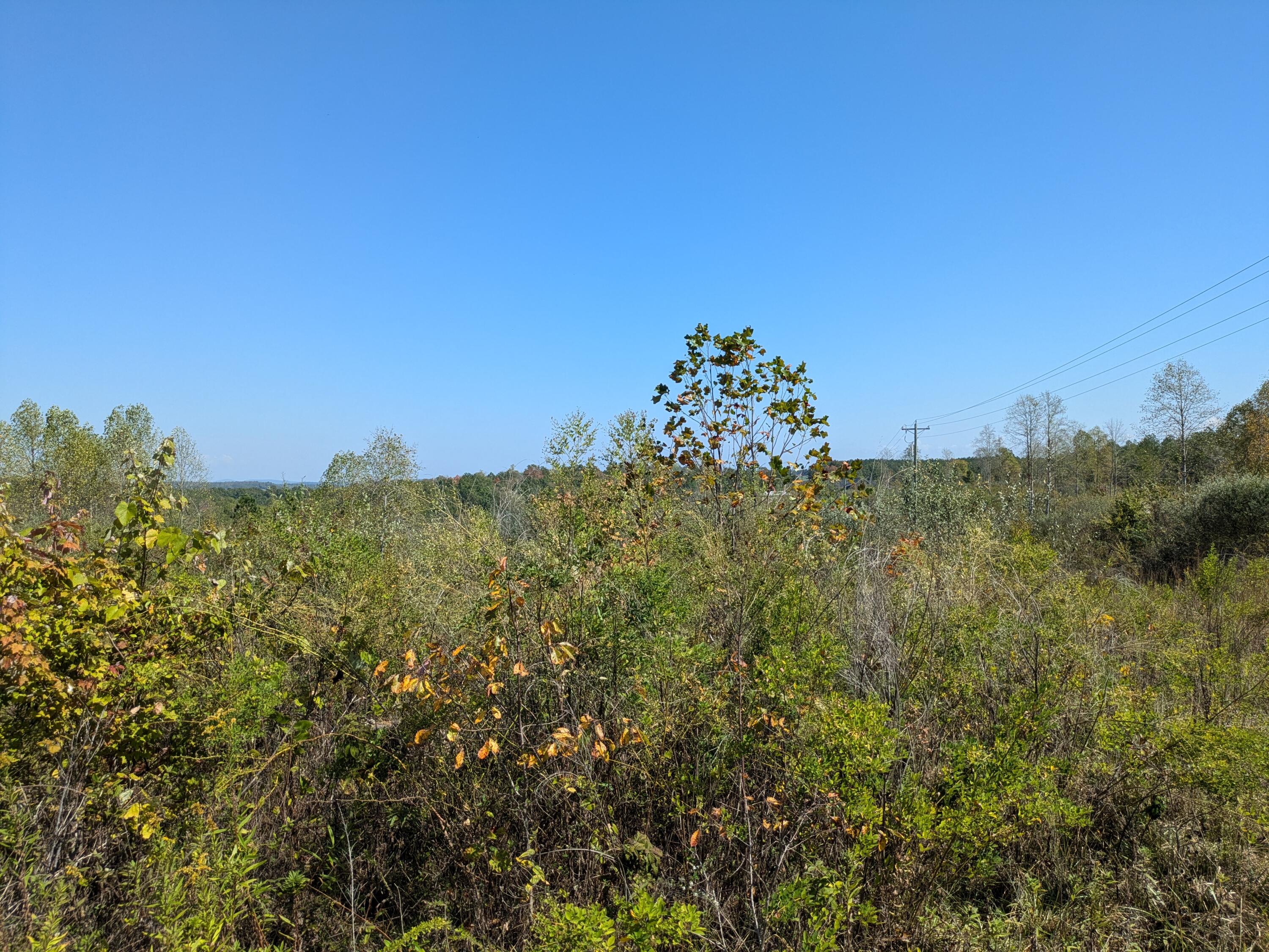 Shut In Gap Road #7, Spring City, Tennessee image 7