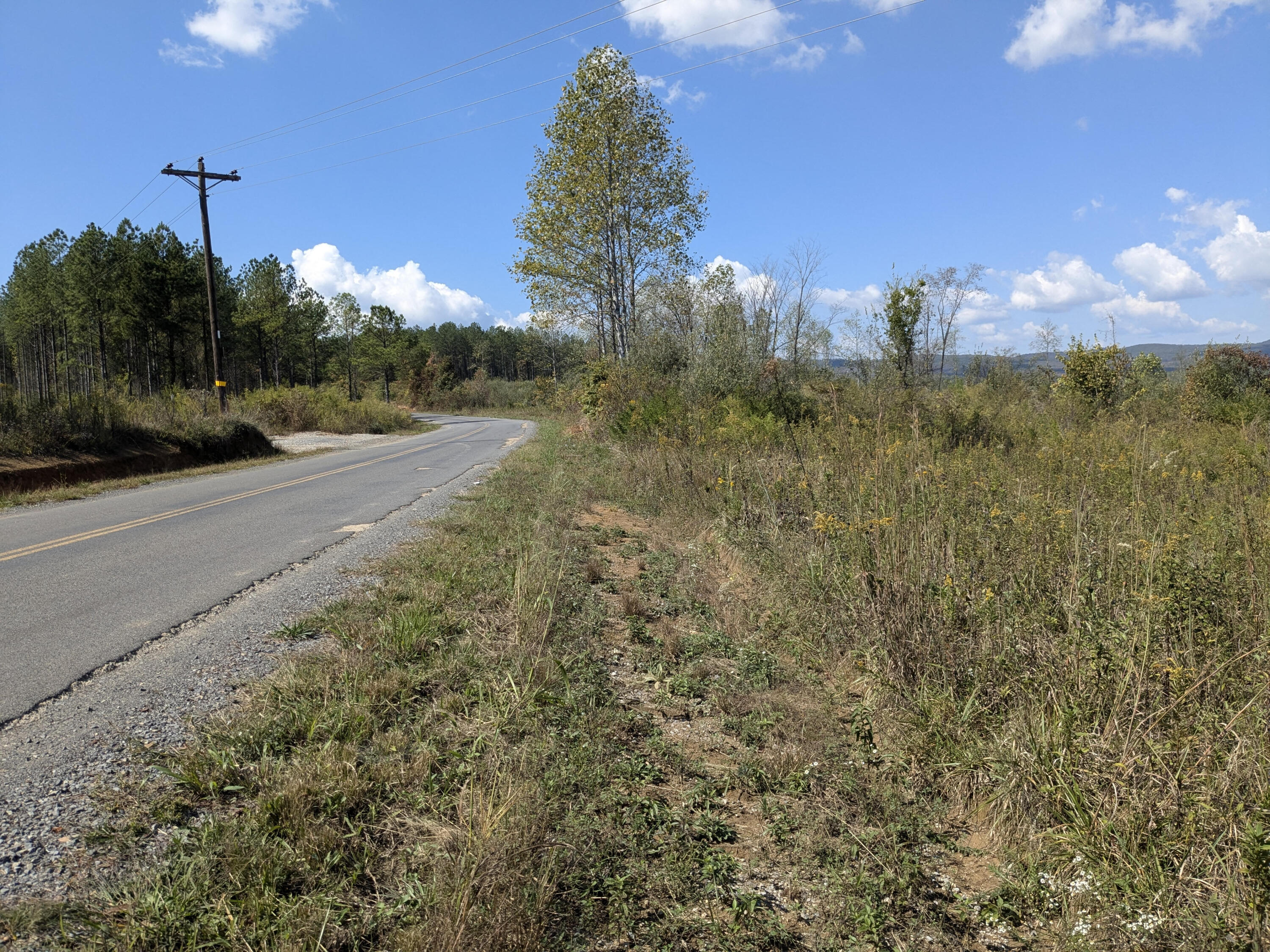 Shut In Gap Road #7, Spring City, Tennessee image 2