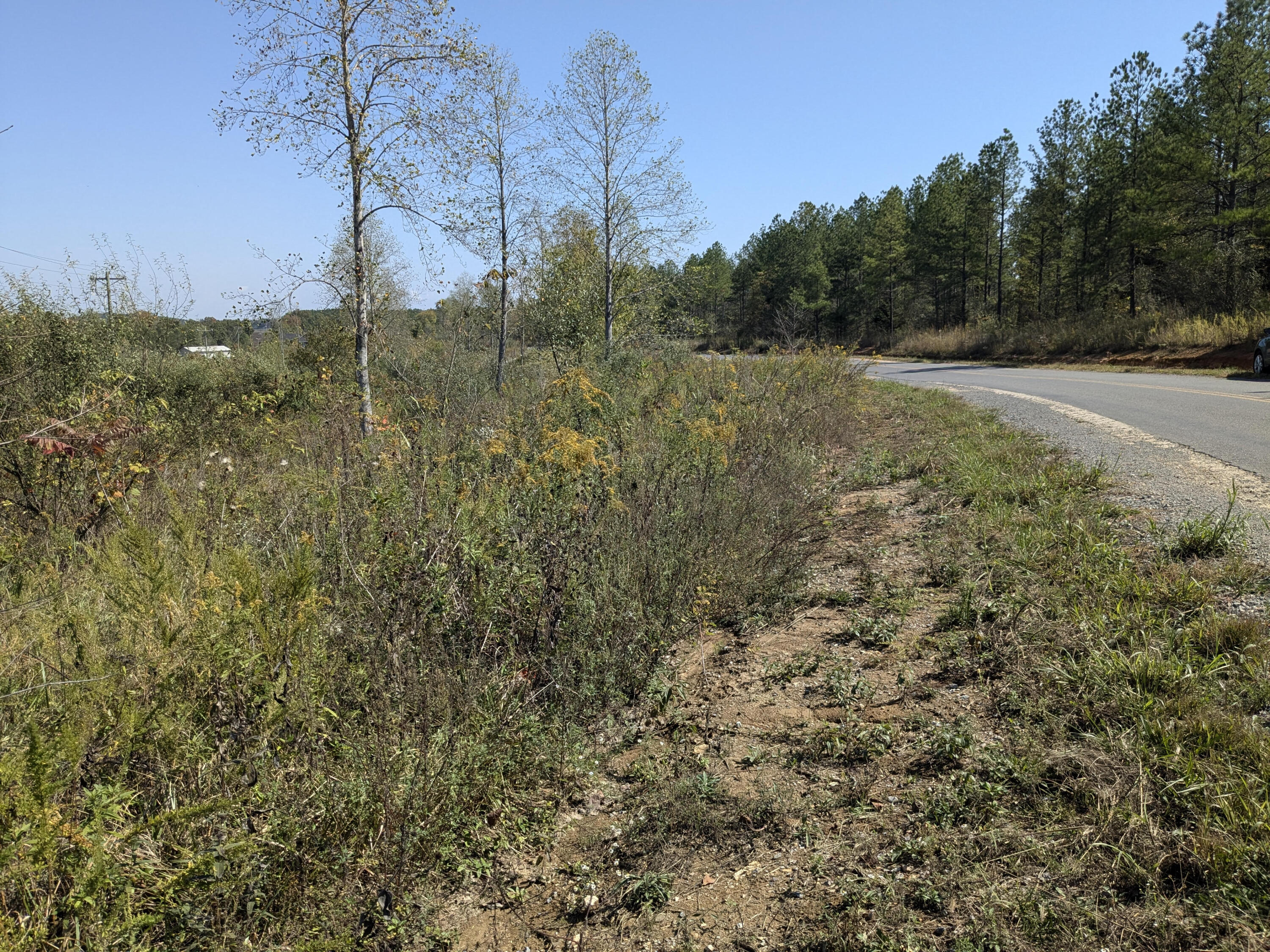 Shut In Gap Road #7, Spring City, Tennessee image 4