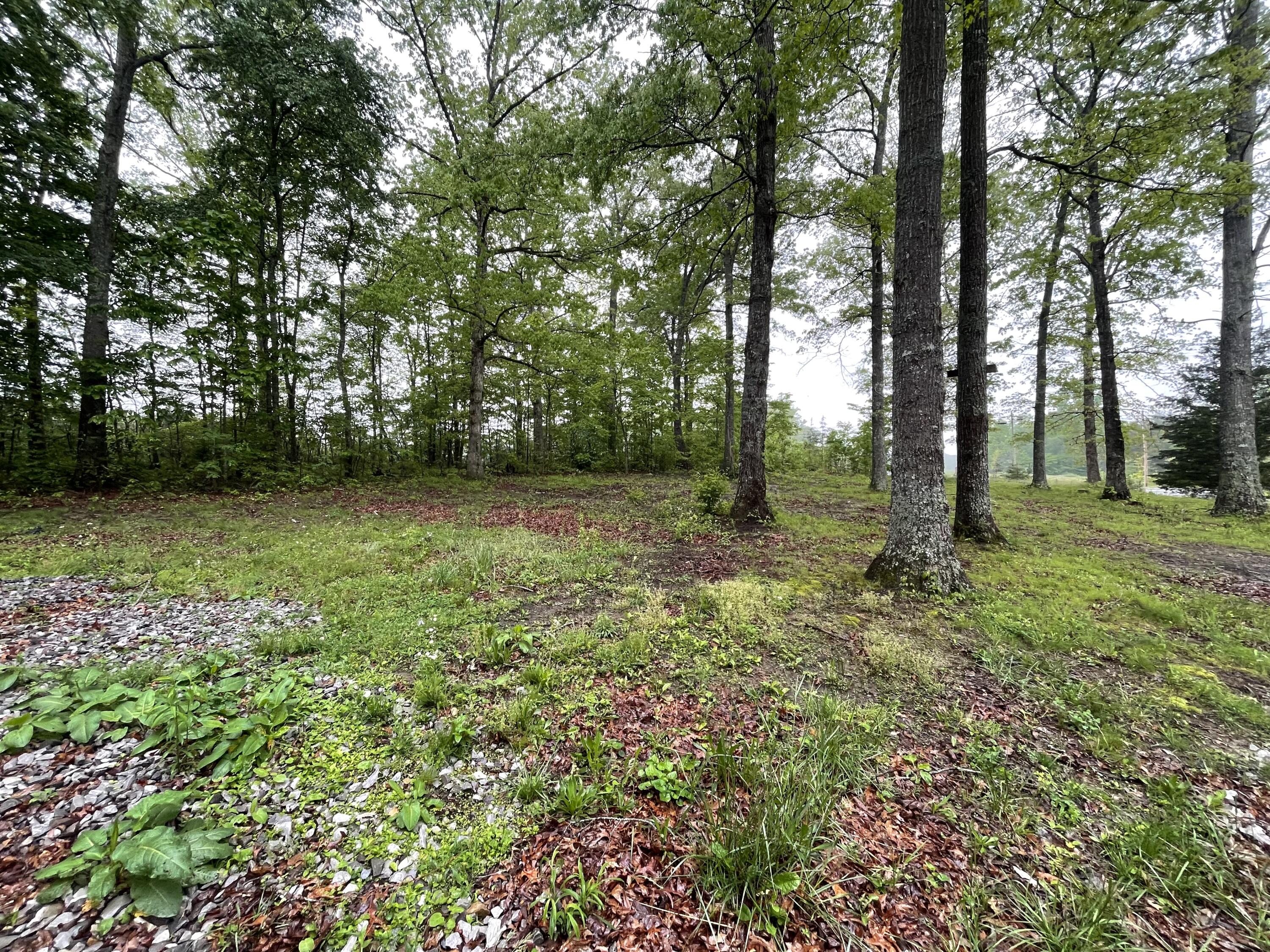 40 Kendra Lane, Pikeville, Tennessee image 18