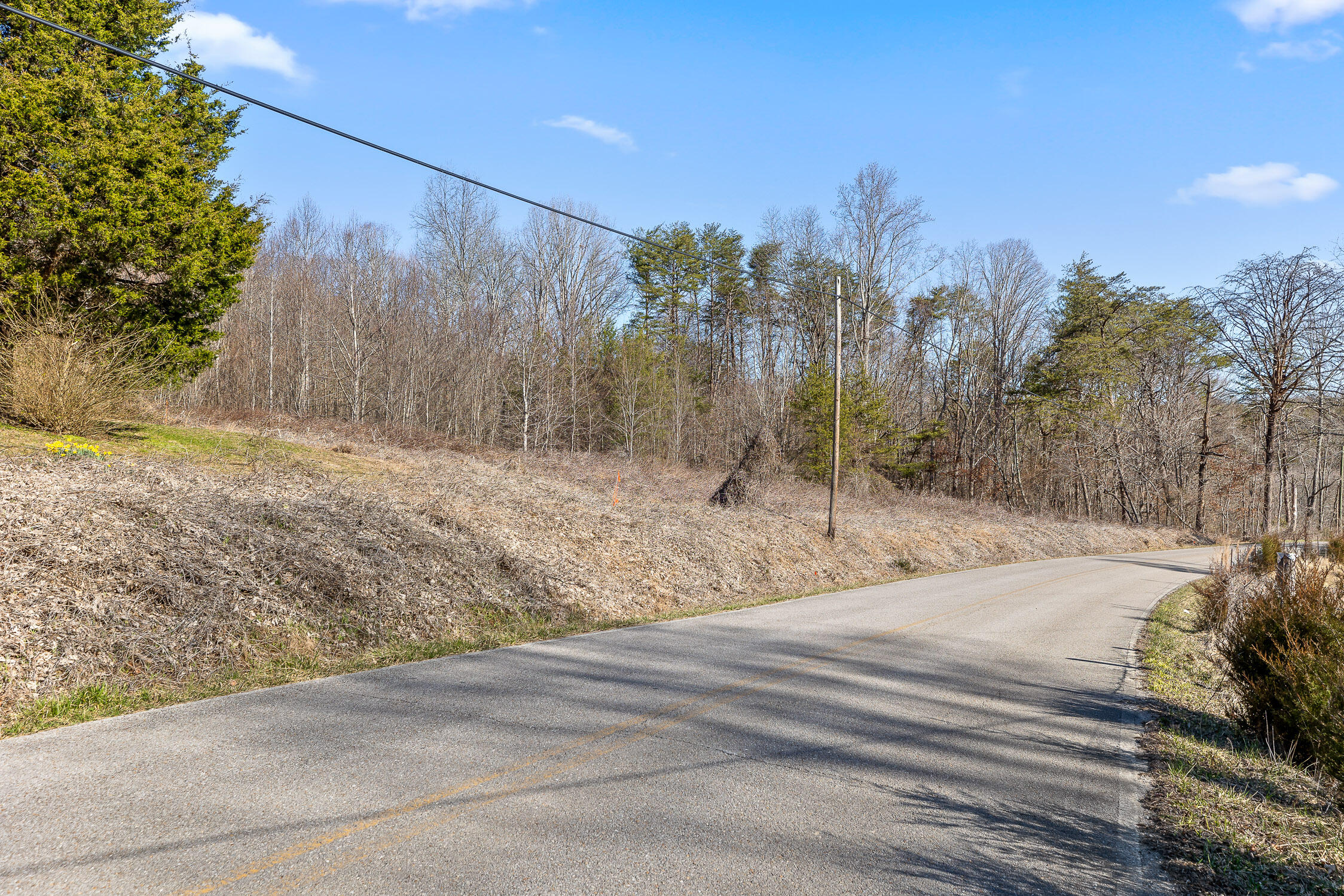 4300 Pocket Road, Whitwell, Tennessee image 26