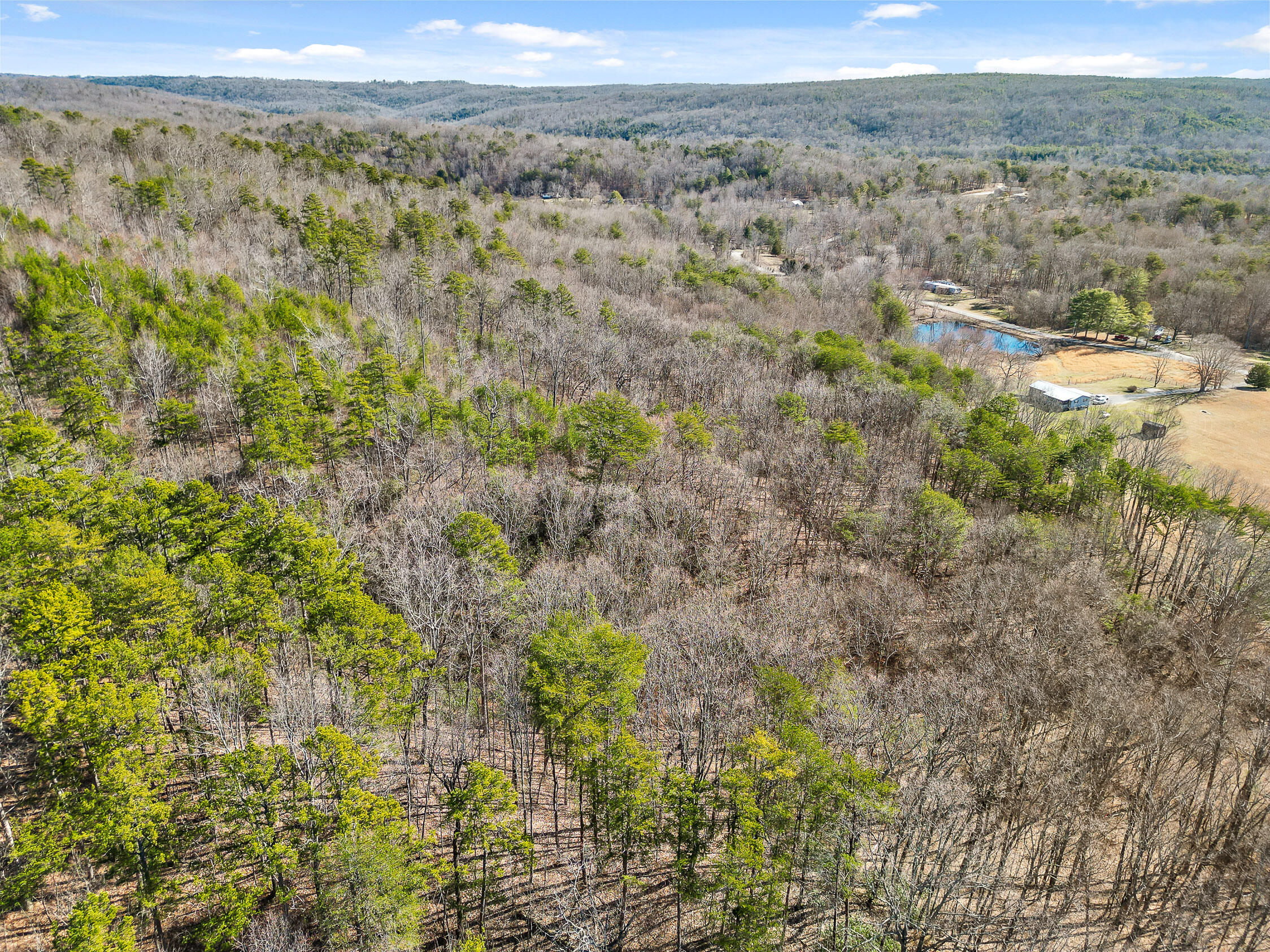 4300 Pocket Road, Whitwell, Tennessee image 23