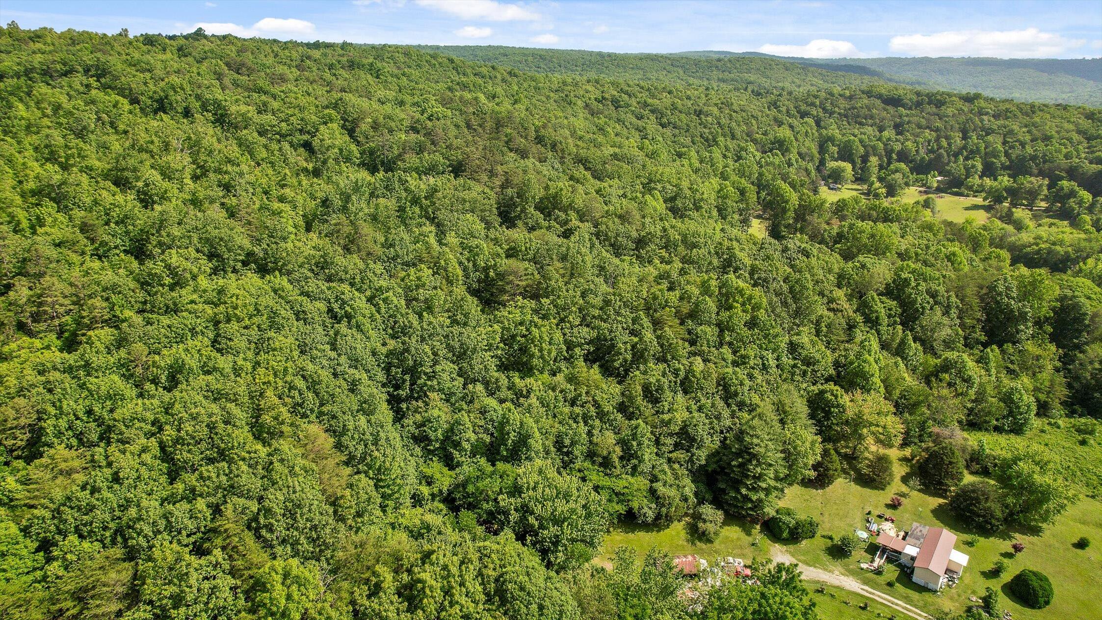 Whitwell, Tennessee 37397, United States, ,Land,Active,82722