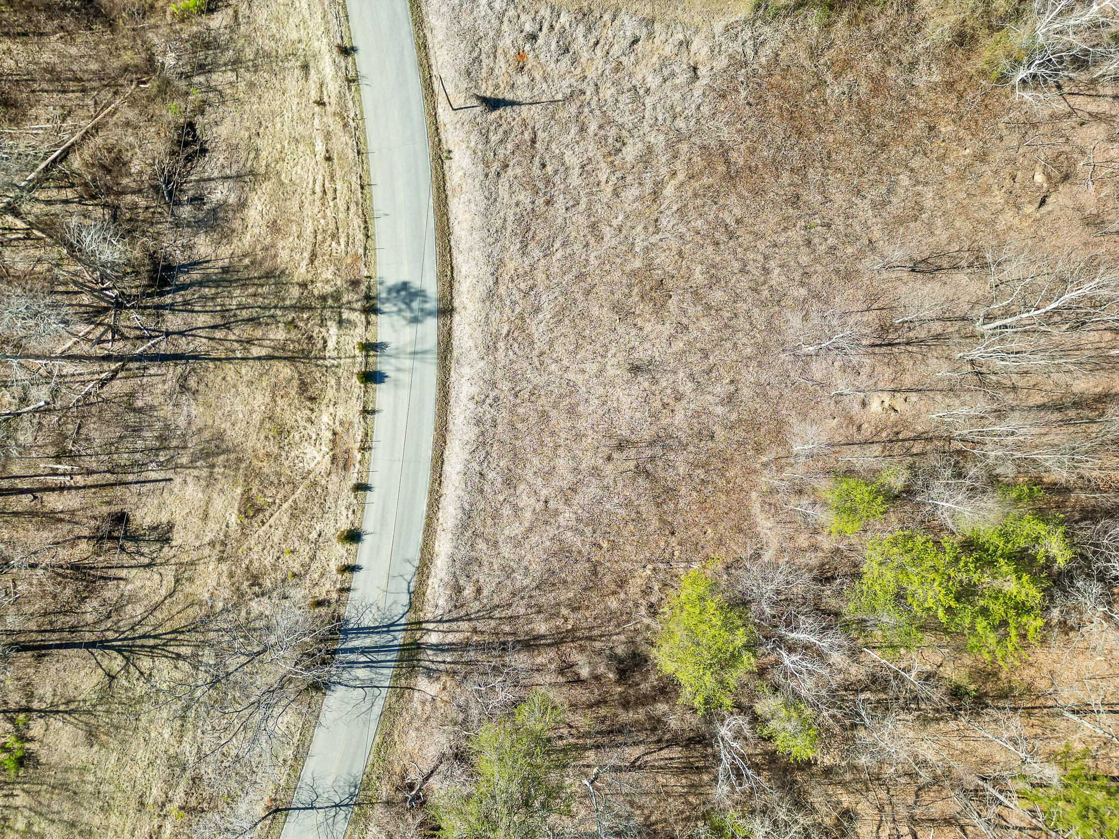 4300 Pocket Road, Whitwell, Tennessee image 14