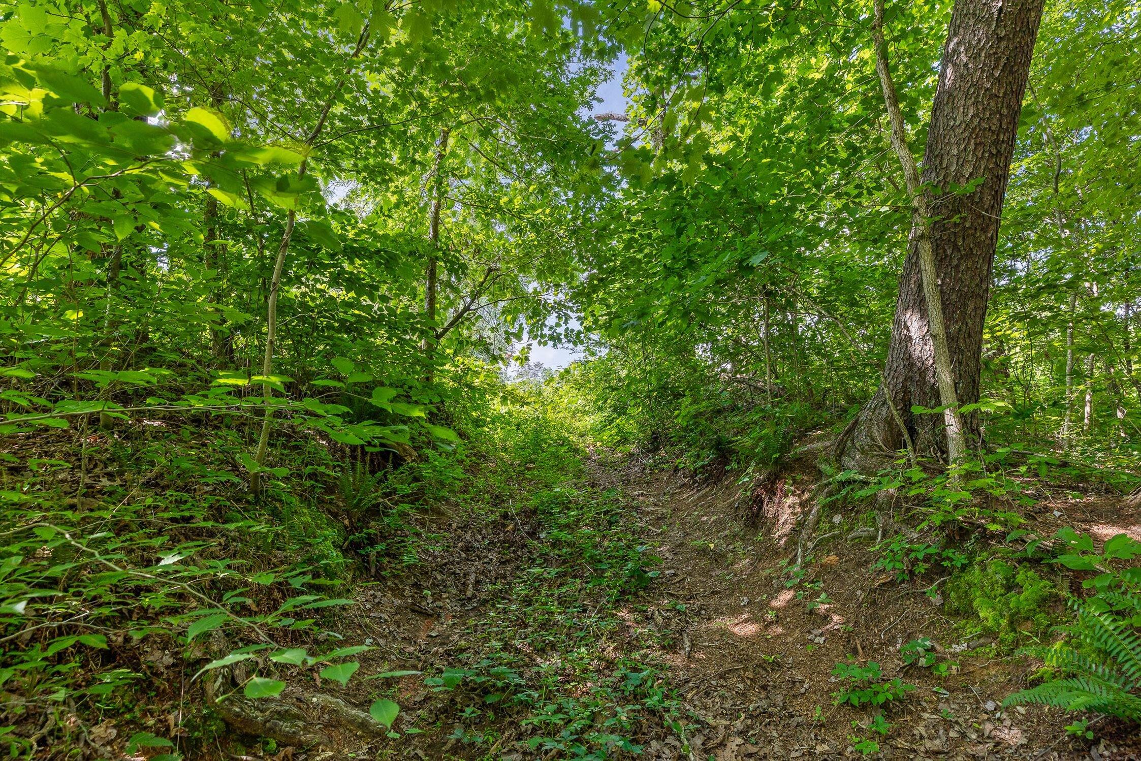 Whitwell, Tennessee 37397, United States, ,Land,Active,82722