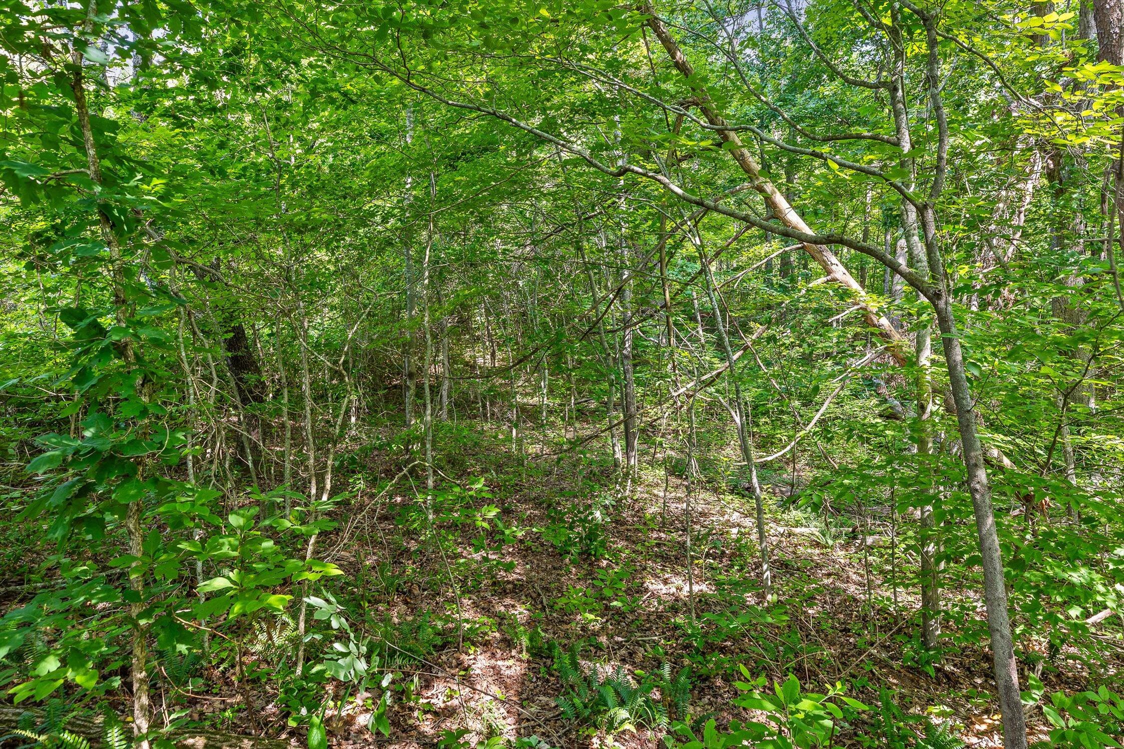 Whitwell, Tennessee 37397, United States, ,Land,Active,82722