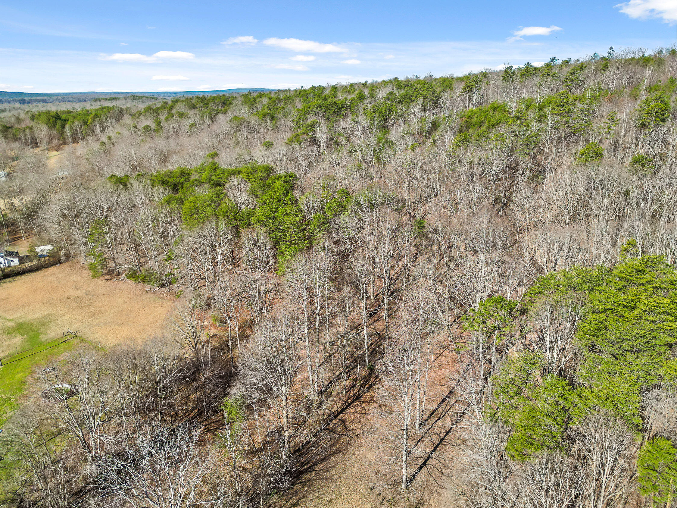 4300 Pocket Road, Whitwell, Tennessee image 31