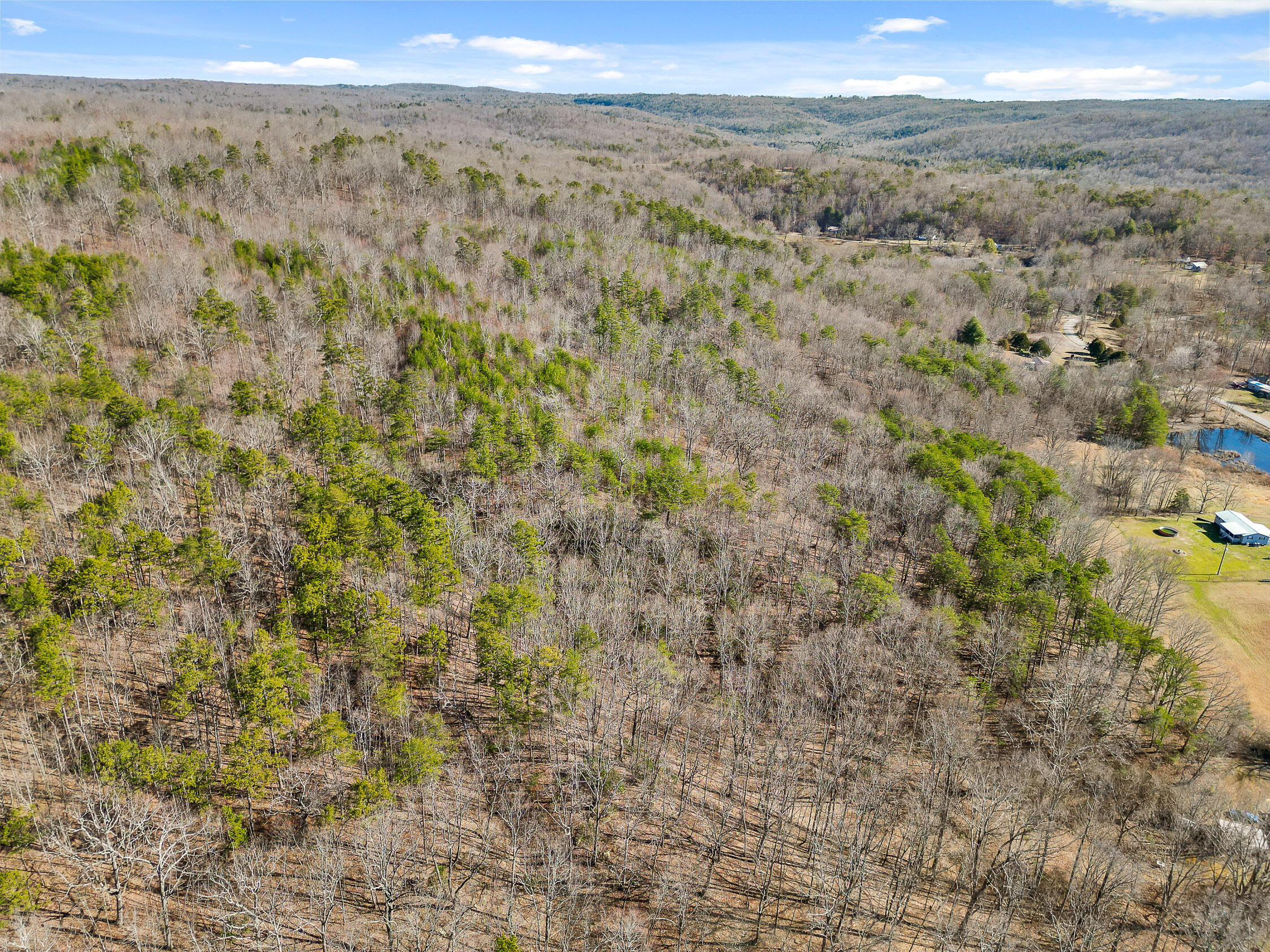4300 Pocket Road, Whitwell, Tennessee image 22