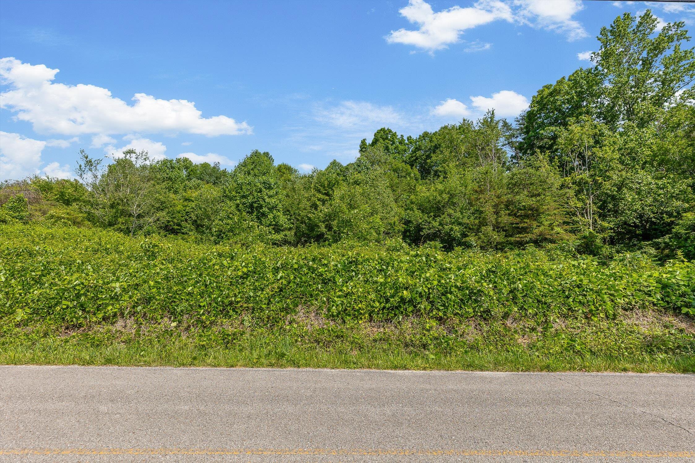 Whitwell, Tennessee 37397, United States, ,Land,Active,82722