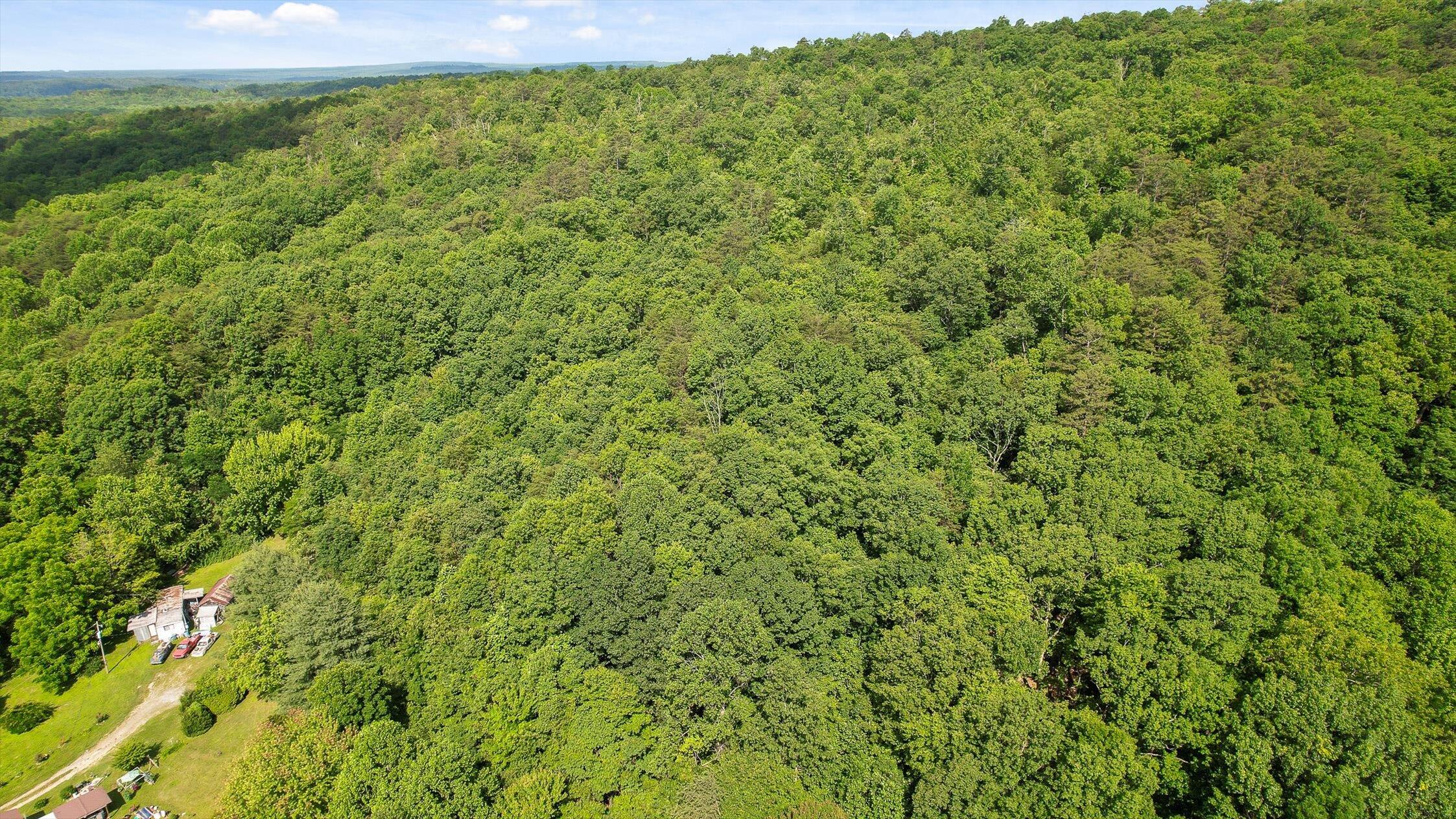 Whitwell, Tennessee 37397, United States, ,Land,Active,82722