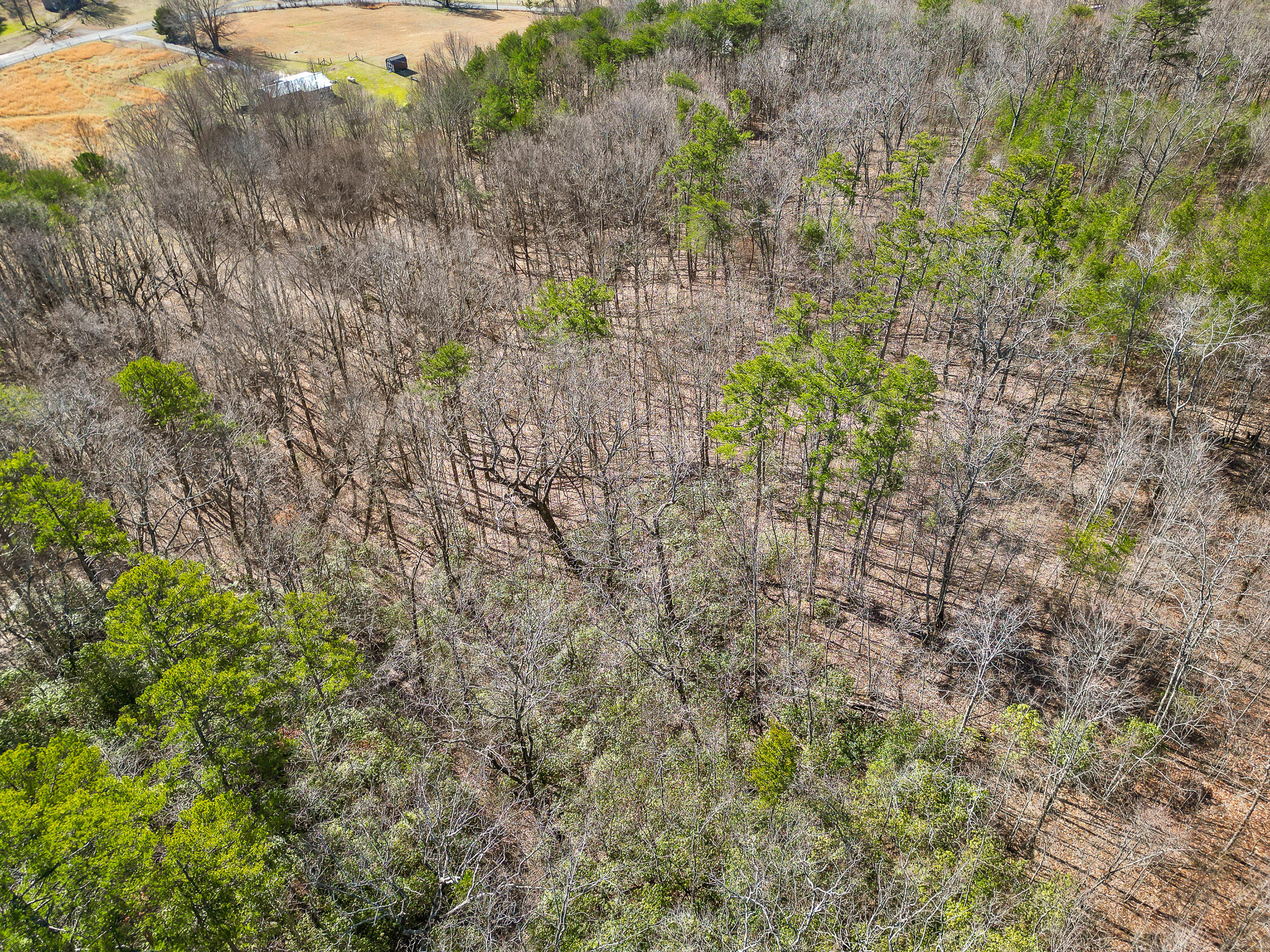 4300 Pocket Road, Whitwell, Tennessee image 7