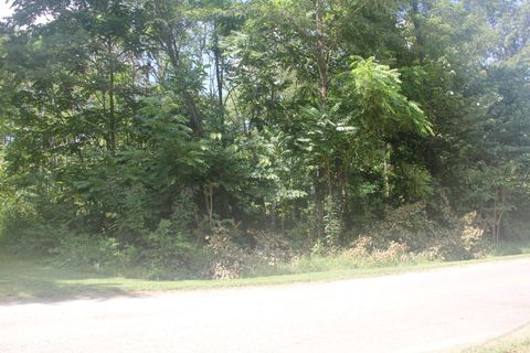 Photo of 4103 Porch Rock Road, Pikeville, TN 37367 (MLS # 1519331)
