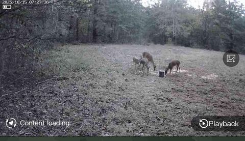 Tiny photo for 6403 Highway S 341, Chickamauga, GA 30707 (MLS # 1525207)