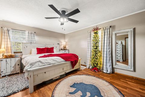 Tiny photo for 6403 Highway S 341, Chickamauga, GA 30707 (MLS # 1525207)