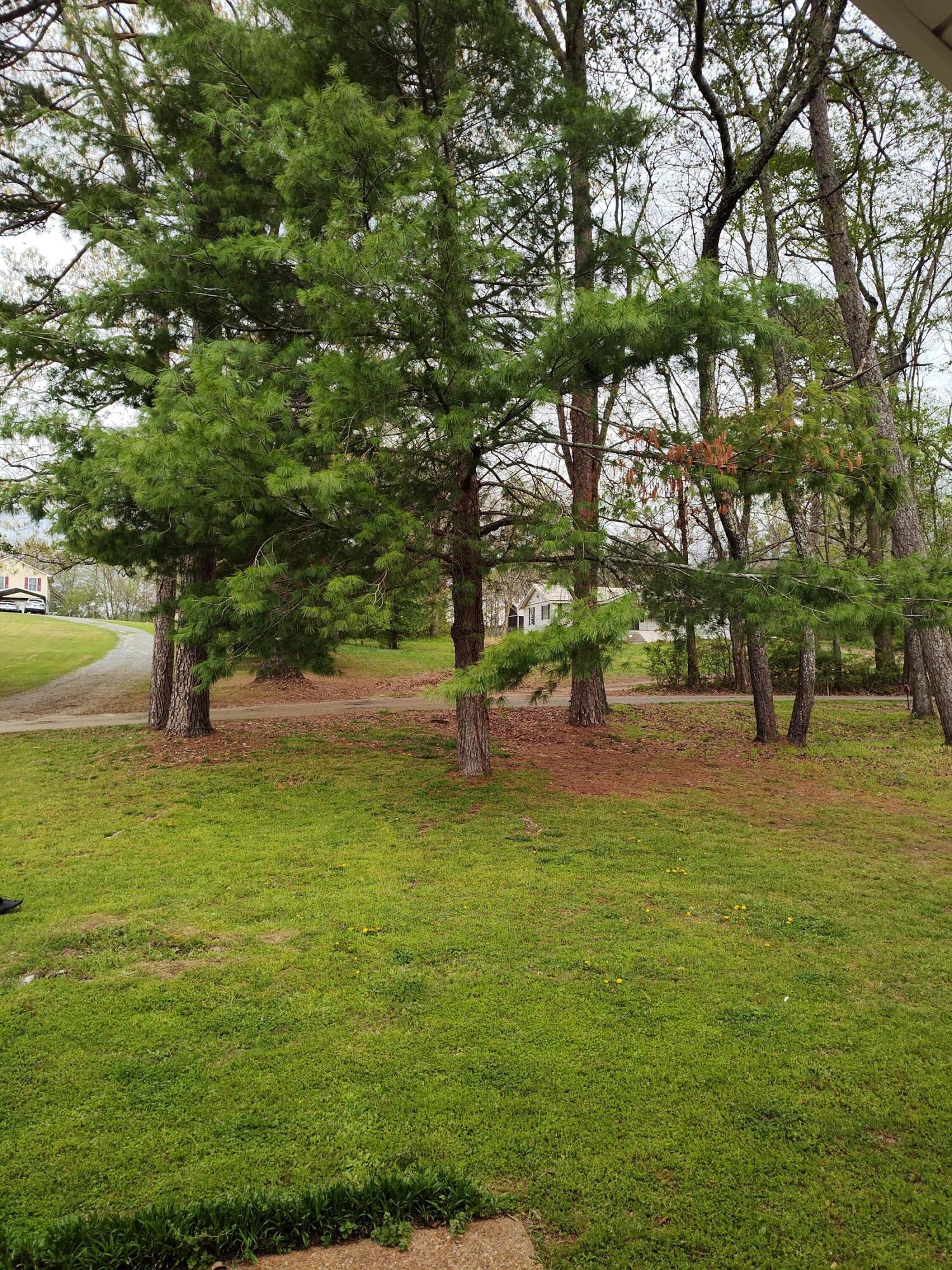 208 Campbell Road, South Pittsburg, Tennessee image 35