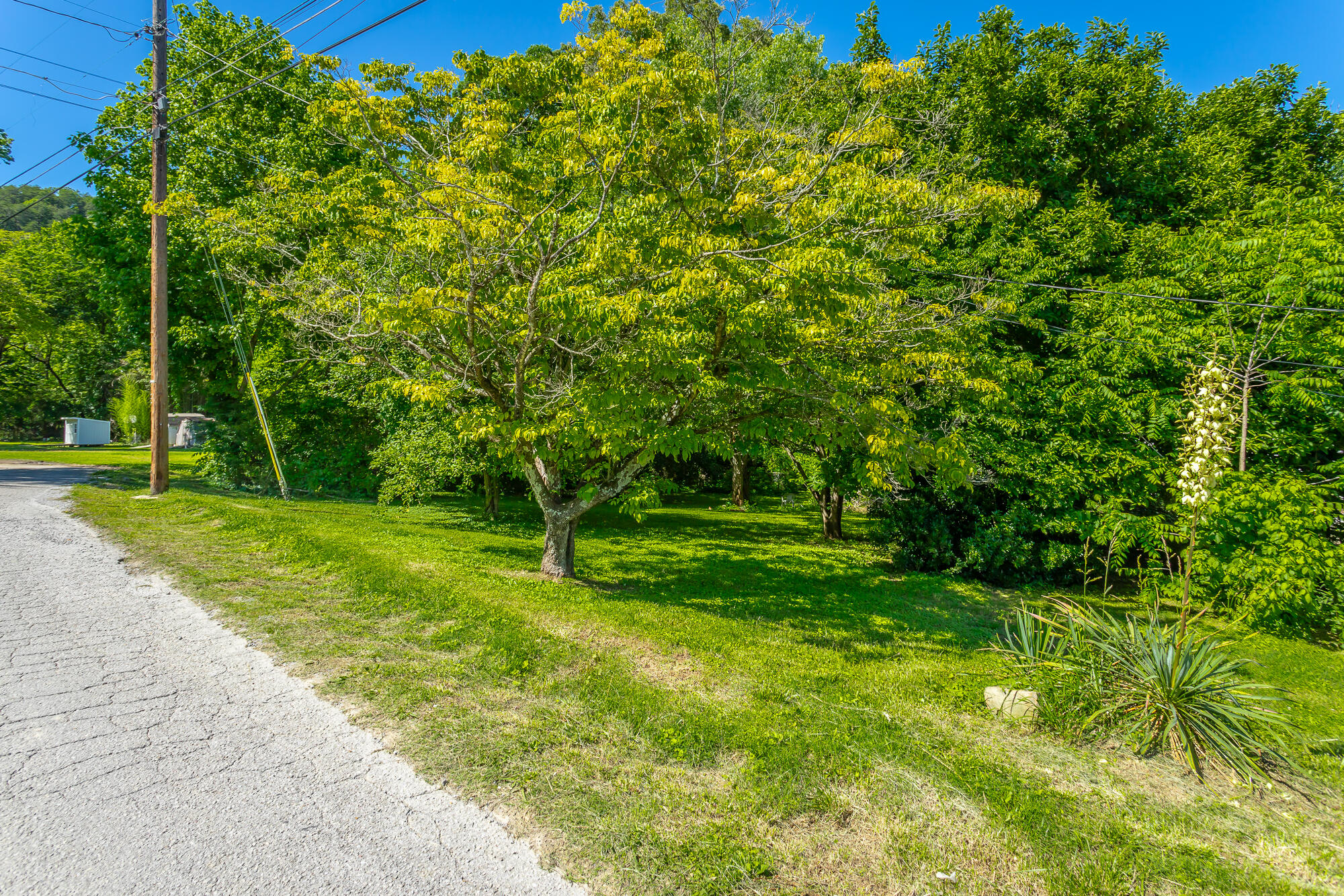 119 Westbrook Avenue, Soddy Daisy, Tennessee image 41