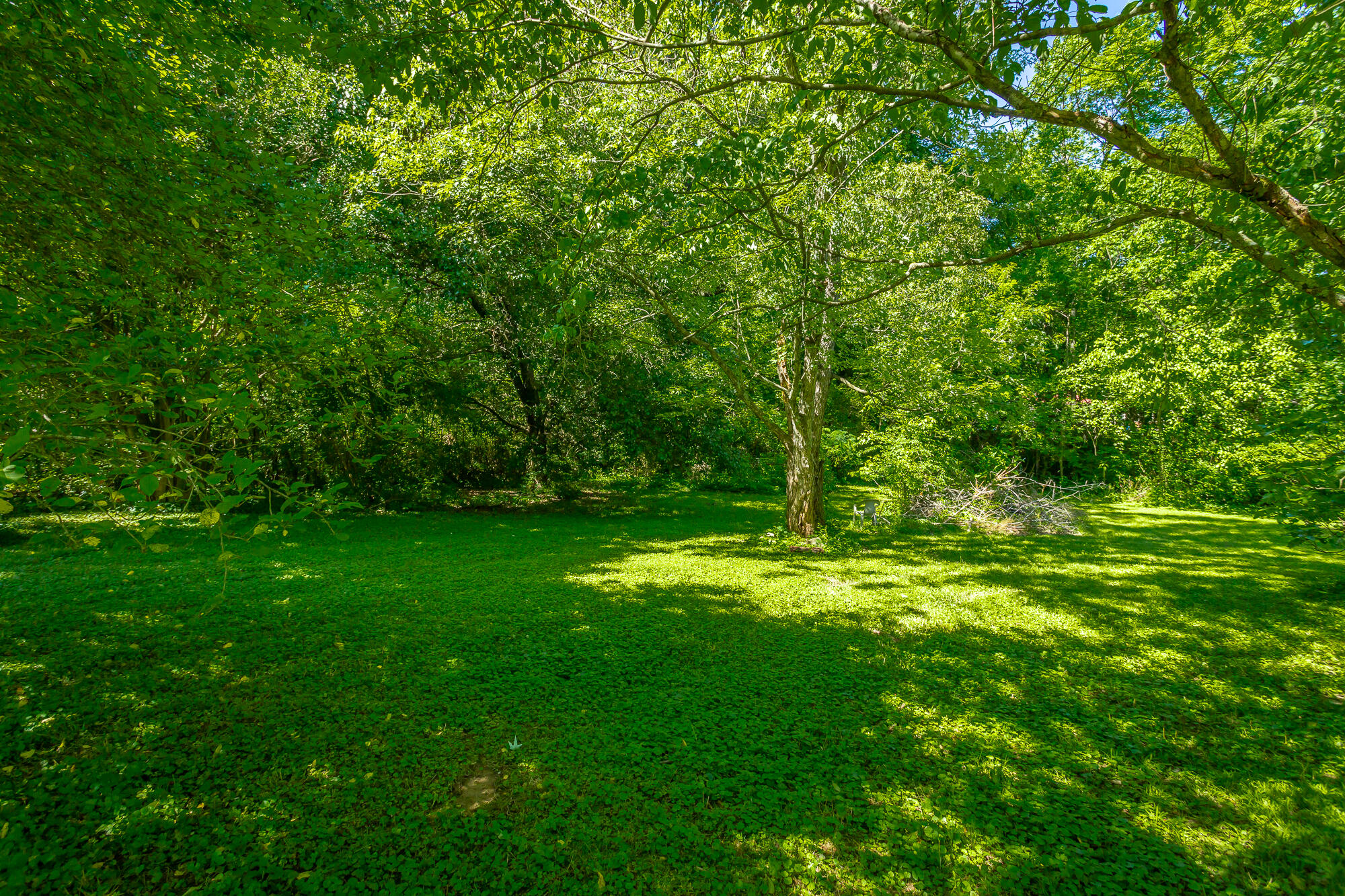 119 Westbrook Avenue, Soddy Daisy, Tennessee image 43