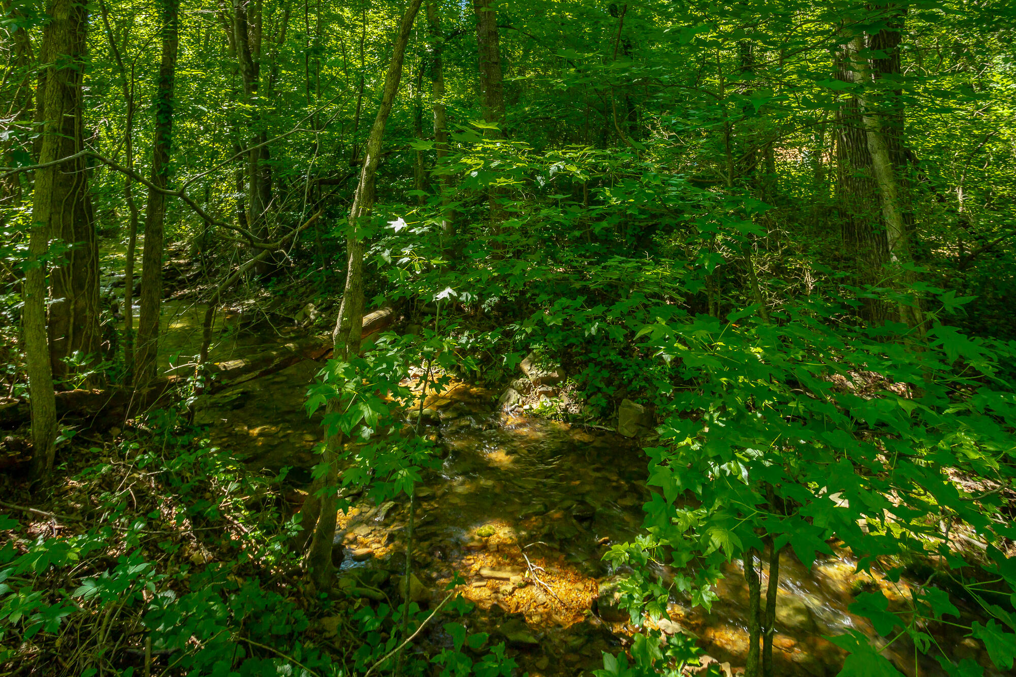 119 Westbrook Avenue, Soddy Daisy, Tennessee image 25