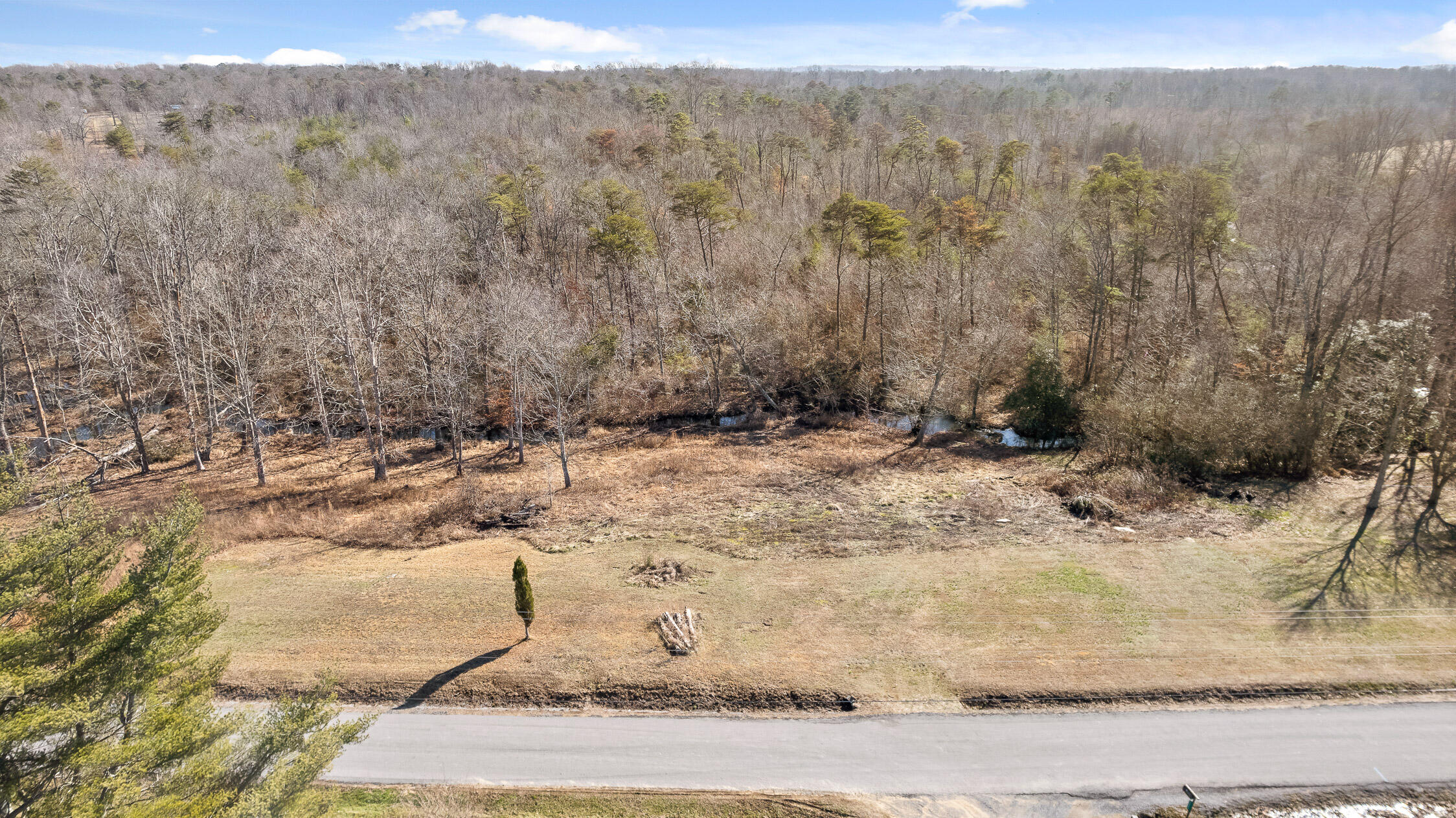 Tract B County Road 784, Ider, Alabama image 7