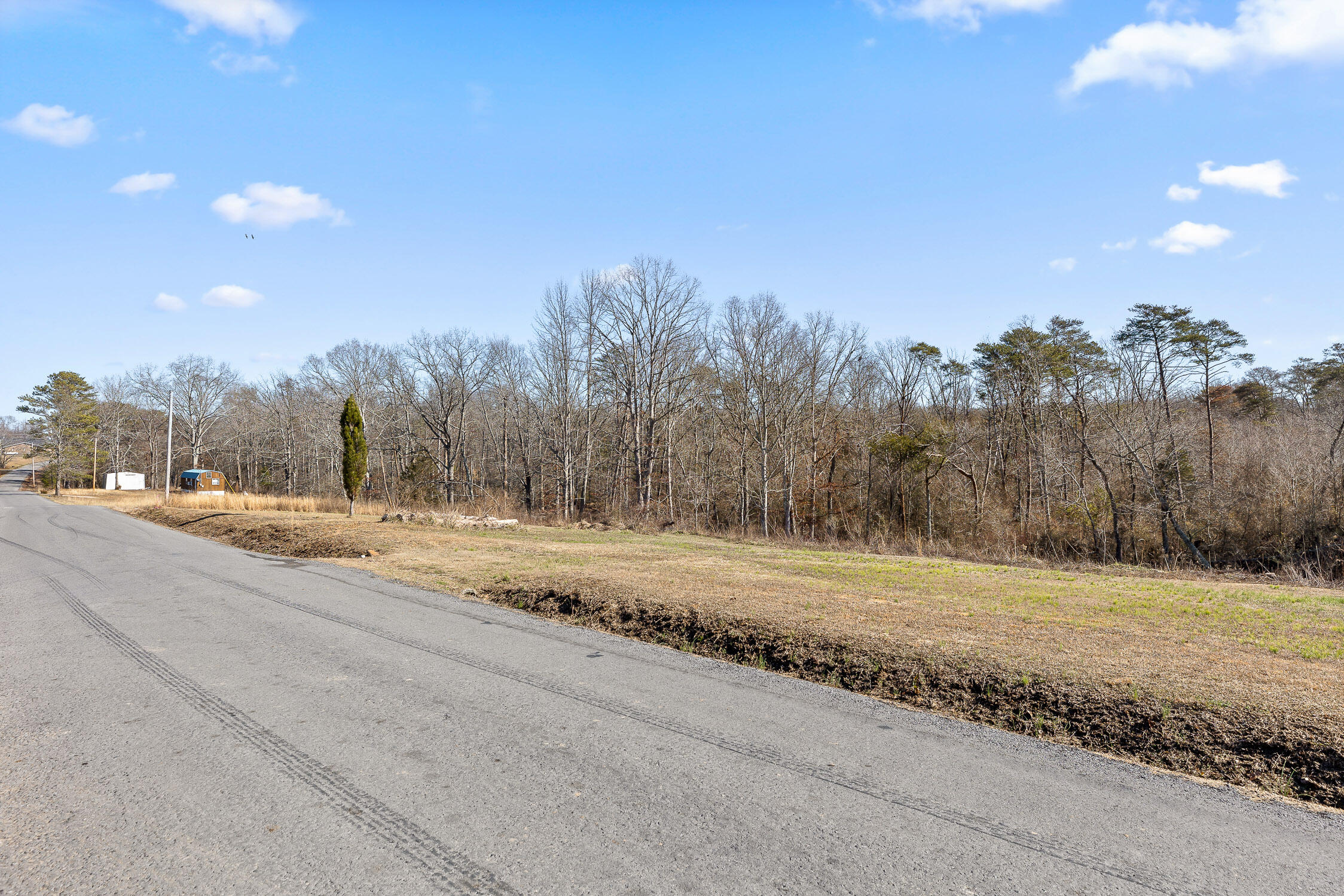 Tract B County Road 784, Ider, Alabama image 25