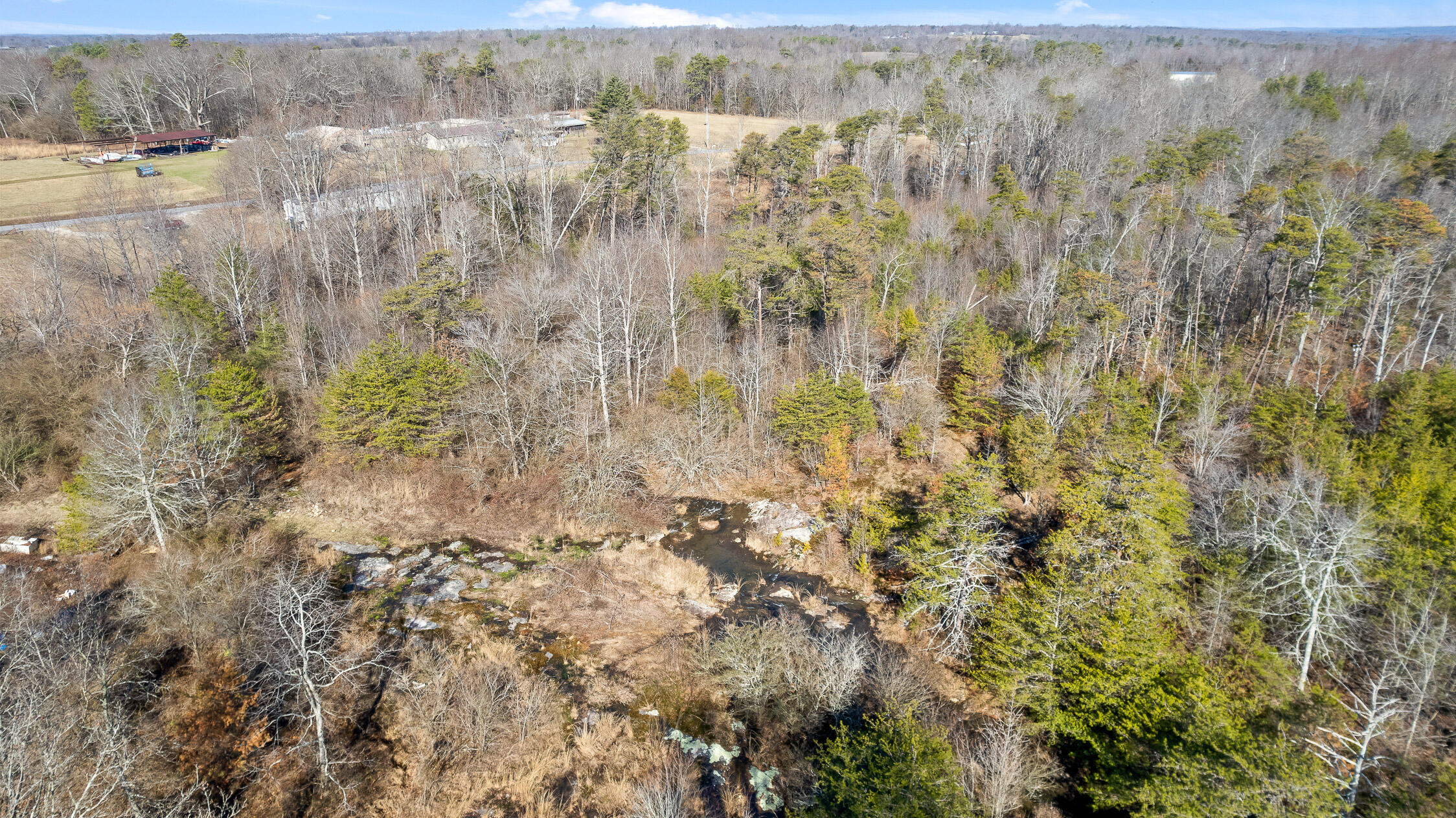 Tract B County Road 784, Ider, Alabama image 9