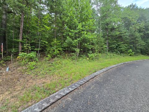 Vacant Land For Sale - LOT 155 Lower Brow Road<br/> Bledsoe County, Dunlap, TN 37327