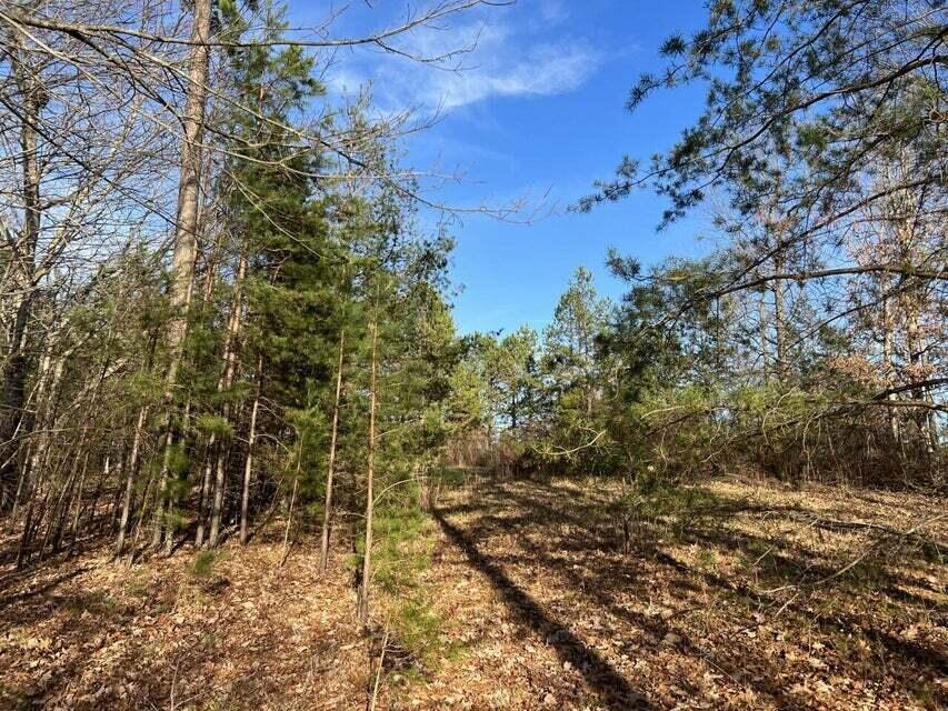 Log Cabin Lane #LOT 1, Dunlap, Tennessee image 5