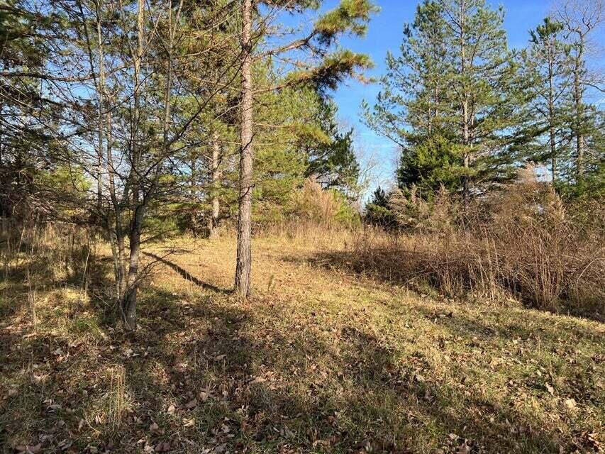 Log Cabin Lane #LOT 1, Dunlap, Tennessee image 6