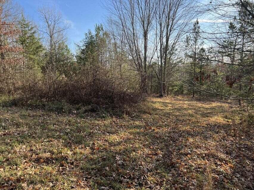 Log Cabin Lane #LOT 1, Dunlap, Tennessee image 4