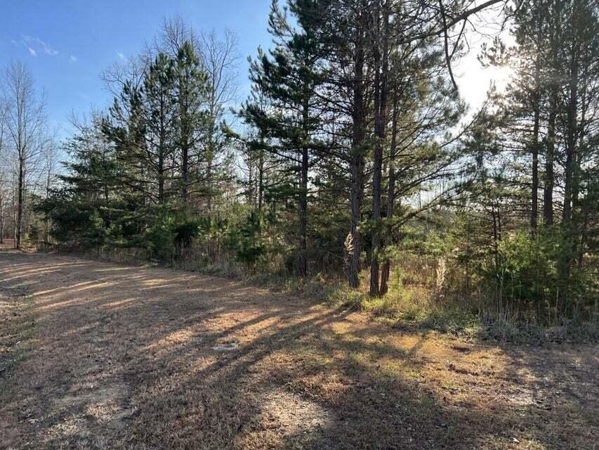 Log Cabin Lane #LOT 1, Dunlap, Tennessee image 8
