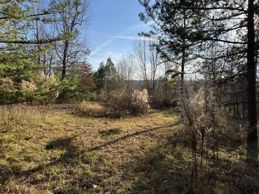 Log Cabin Lane #LOT 1, Dunlap, Tennessee image 2