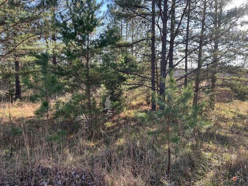 Log Cabin Lane #LOT 1, Dunlap, Tennessee image 7