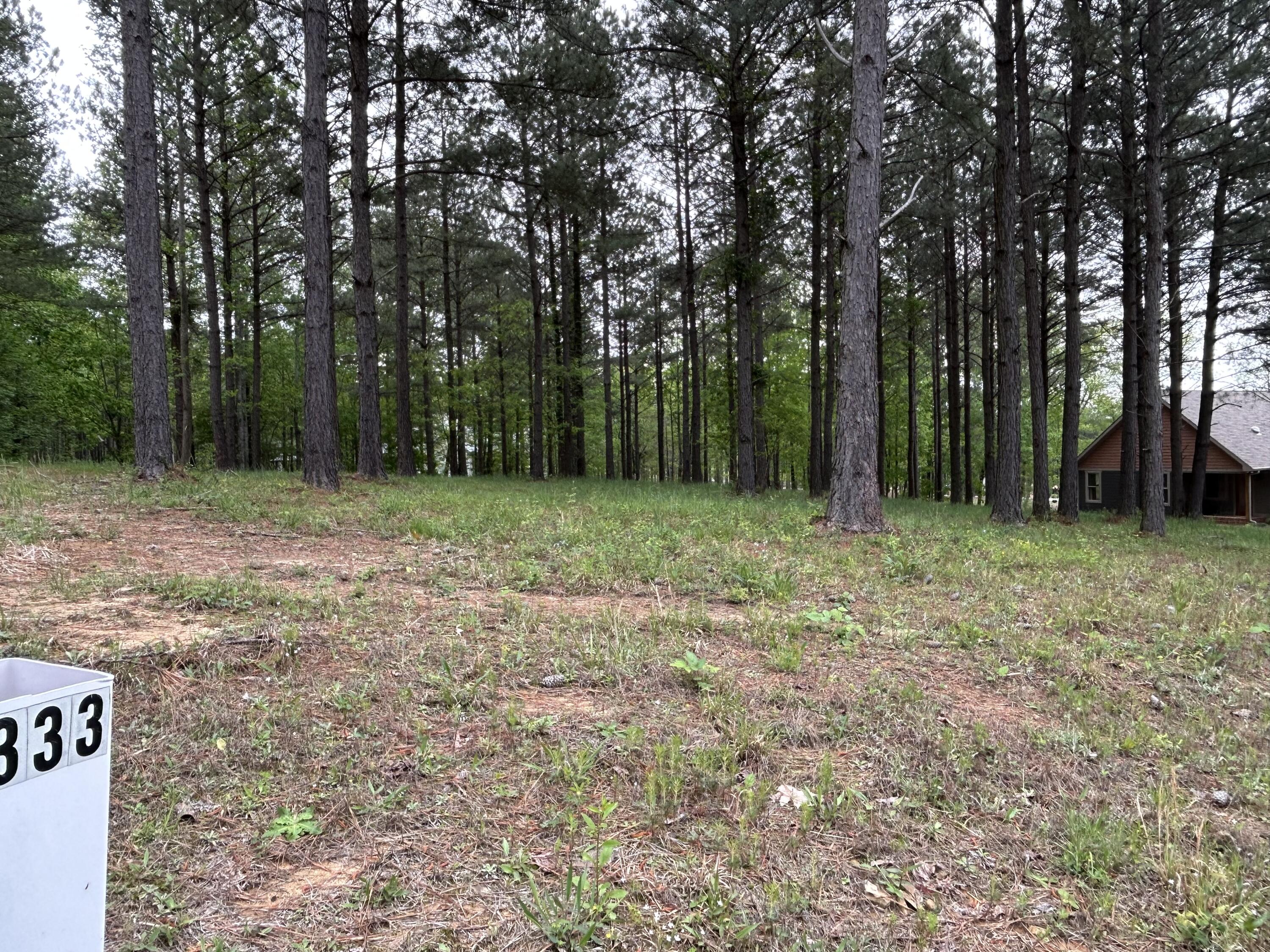 140 Foxtrot Lane #SV-333, Jasper, Tennessee image 14
