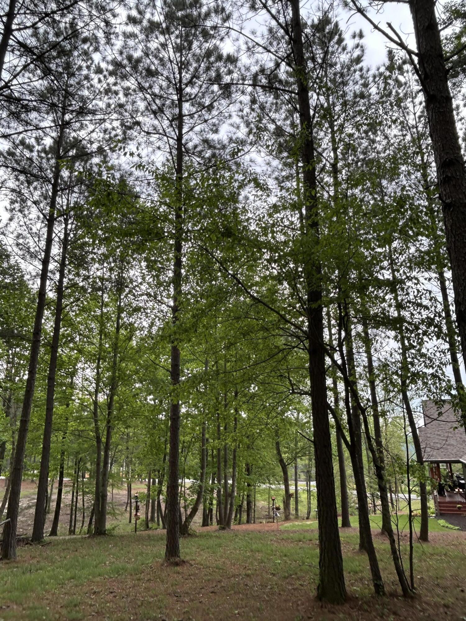 140 Foxtrot Lane #SV-333, Jasper, Tennessee image 11