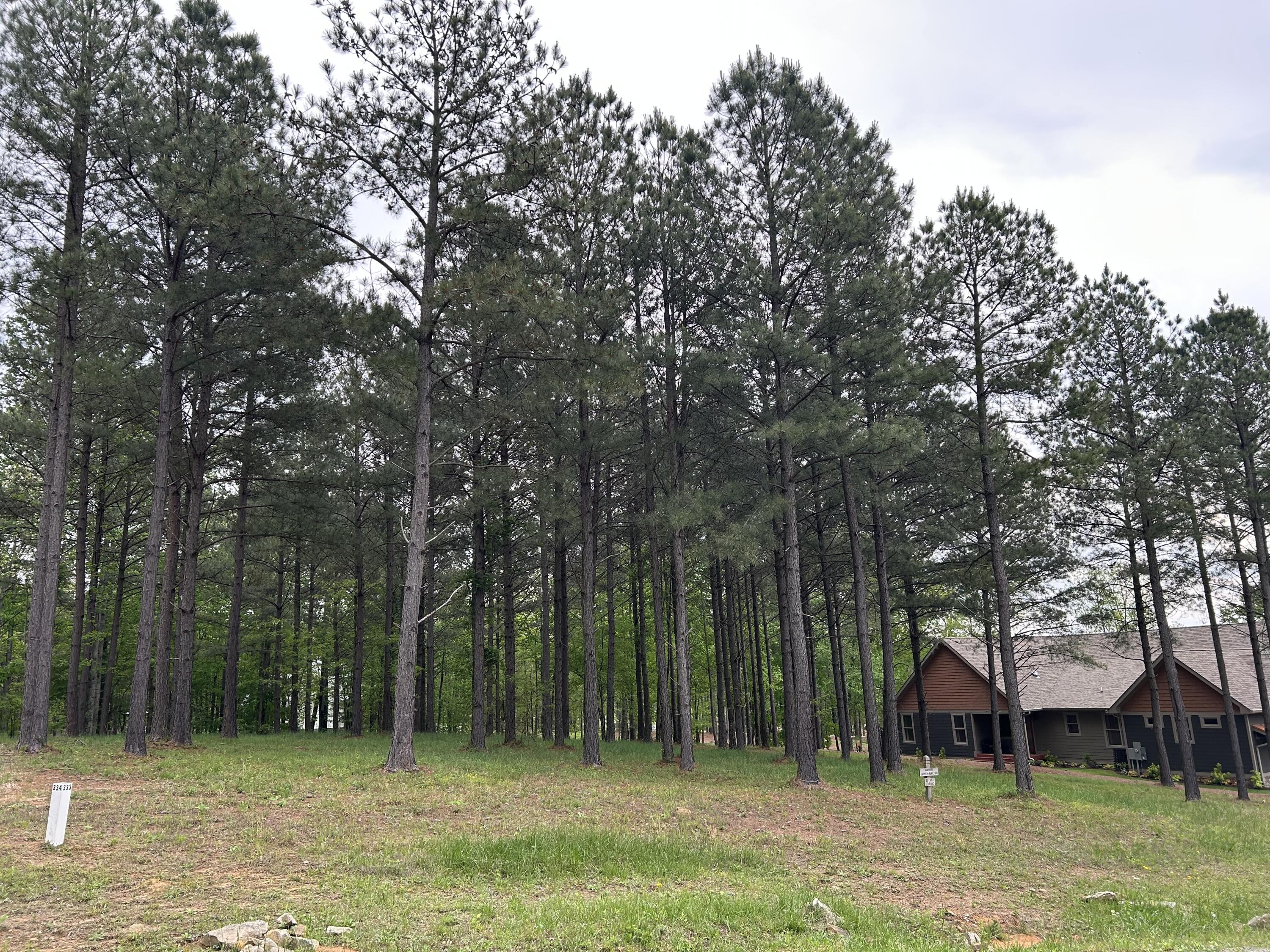 140 Foxtrot Lane #SV-333, Jasper, Tennessee image 3