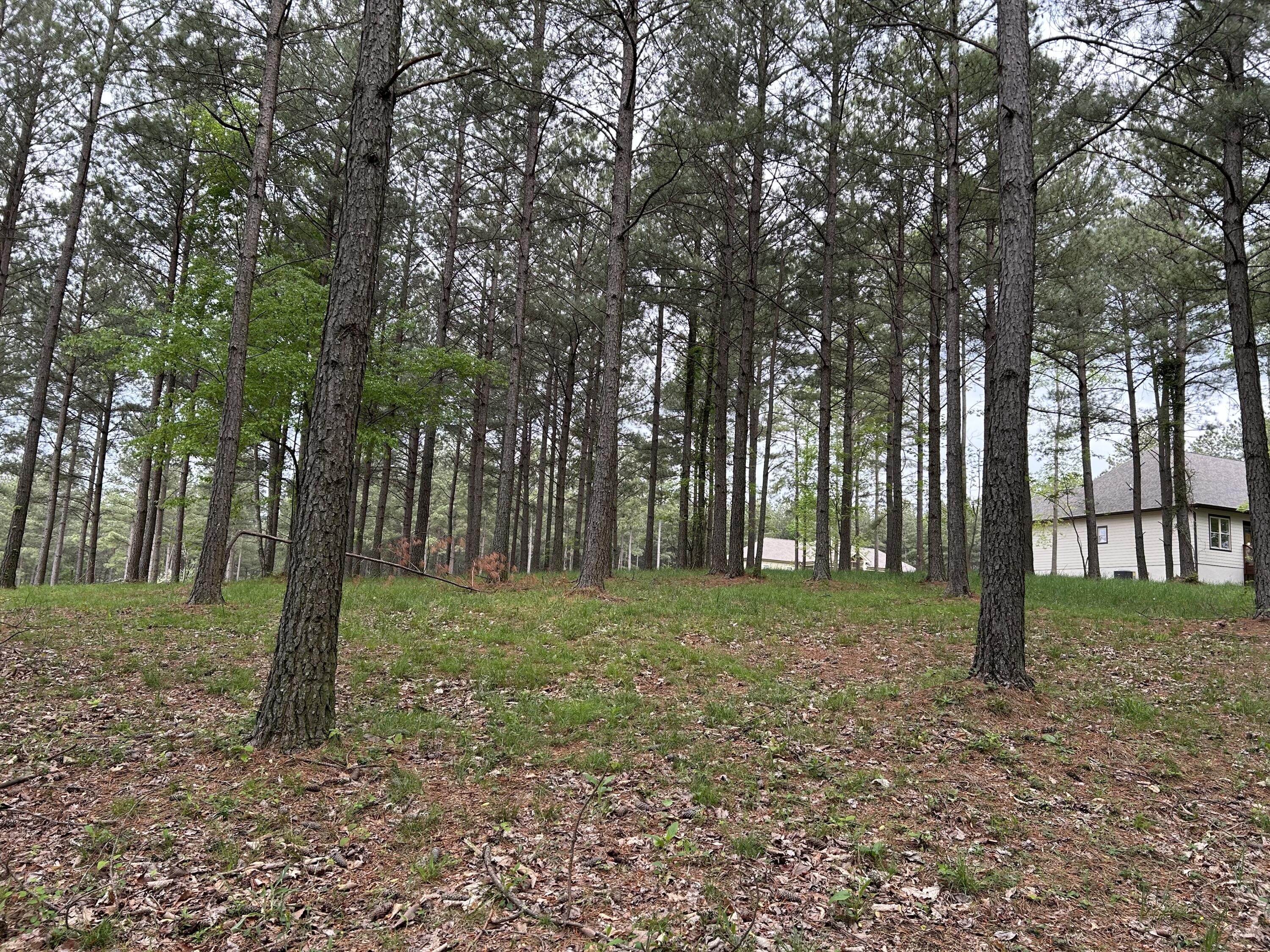 140 Foxtrot Lane #SV-333, Jasper, Tennessee image 9