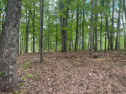 Photo of 133 Shelton Cemetery Road, Cumberland Furnace, TN 37051 (MLS # 1522457)