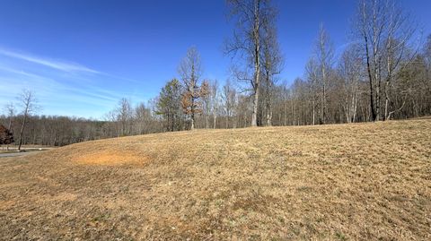 Photo of 0 Raulston Falls Road, Jasper, TN 37347 (MLS # 1530665)