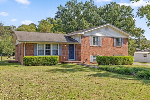 Photo of 7304 Frances Drive, Chattanooga, TN 37421 (MLS # 1521603)