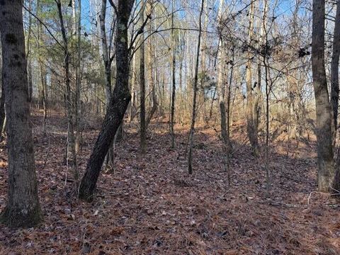 Vacant Land For Sale - LOT 8 County Road 751<br/> Valley Head, AL 35989